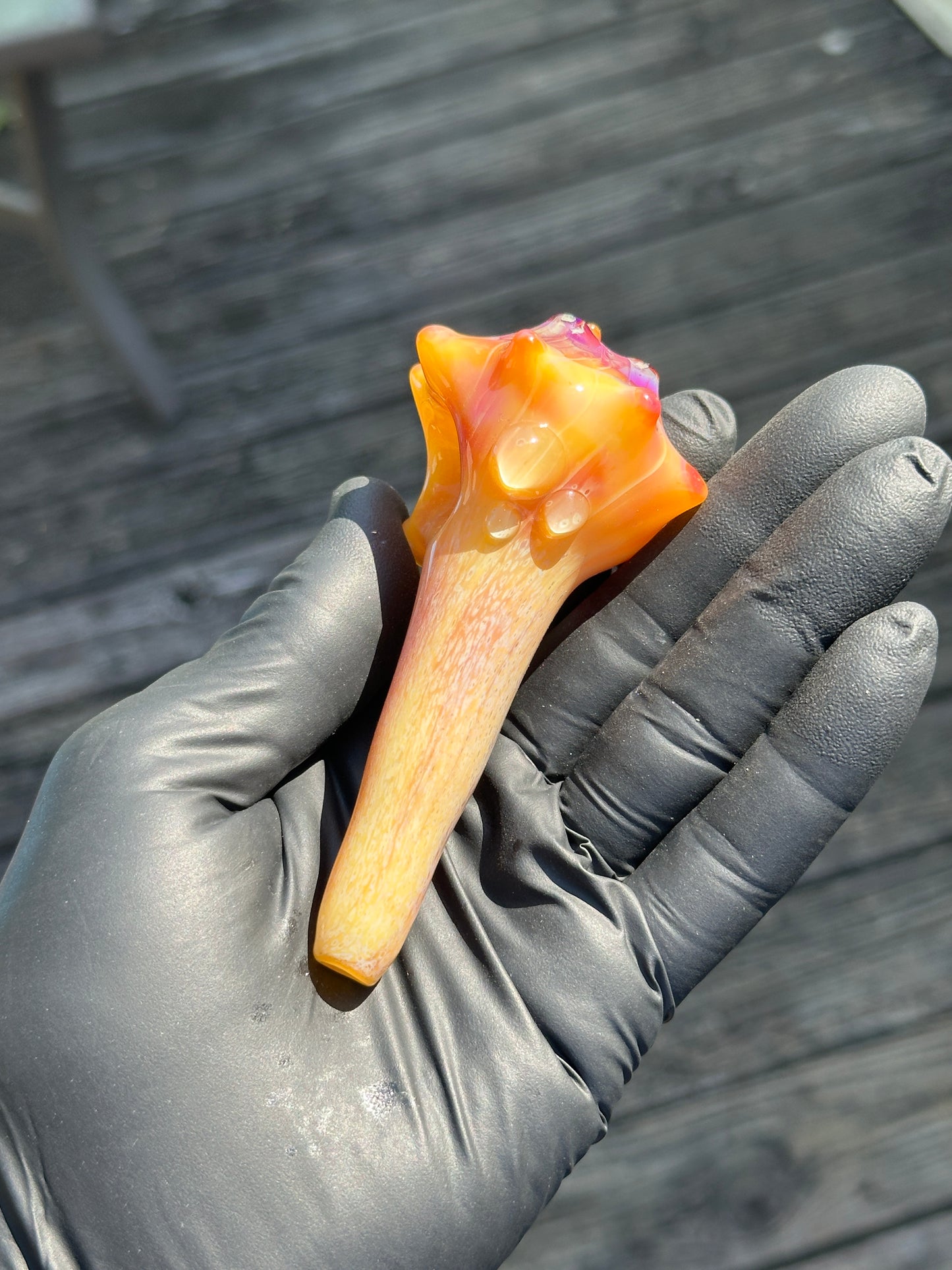 Natural Colored functional dry conch