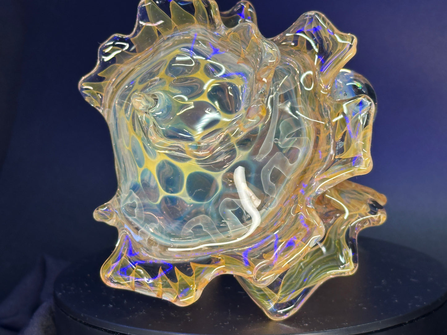 Heady Fumed Shell dry functional