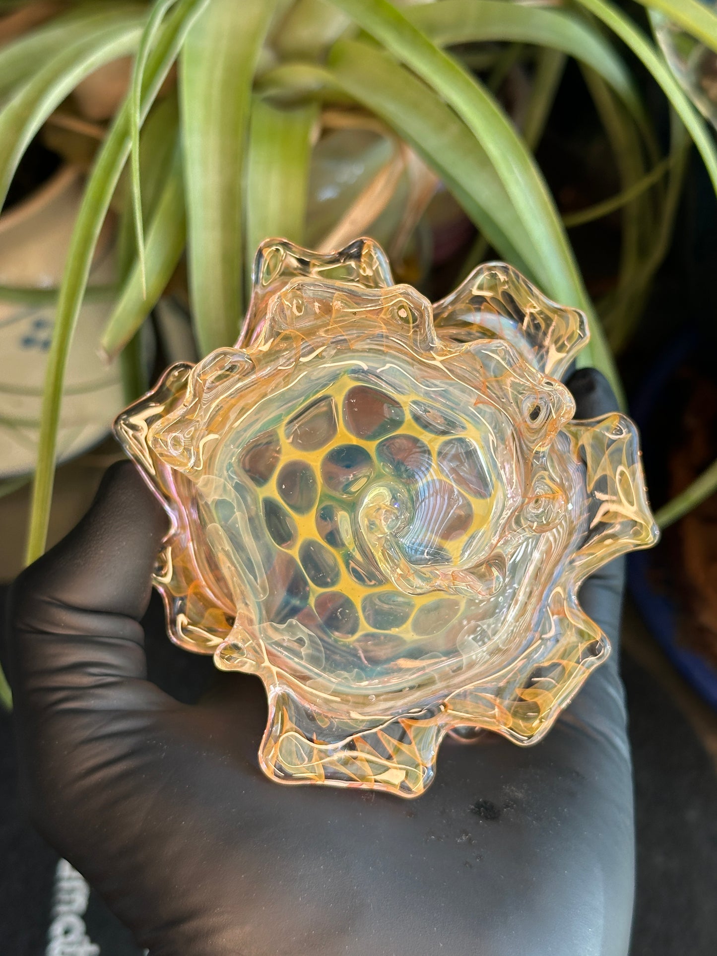 Heady Fumed Shell dry functional
