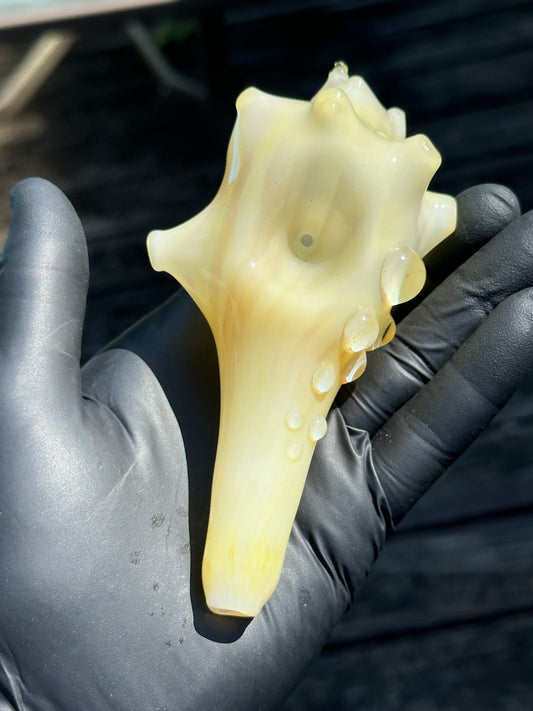 Natural Colored functional dry conch
