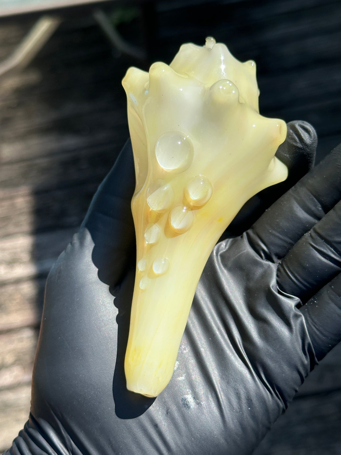 Natural Colored functional dry conch