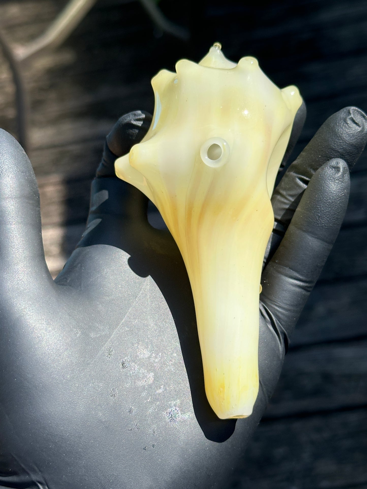 Natural Colored functional dry conch