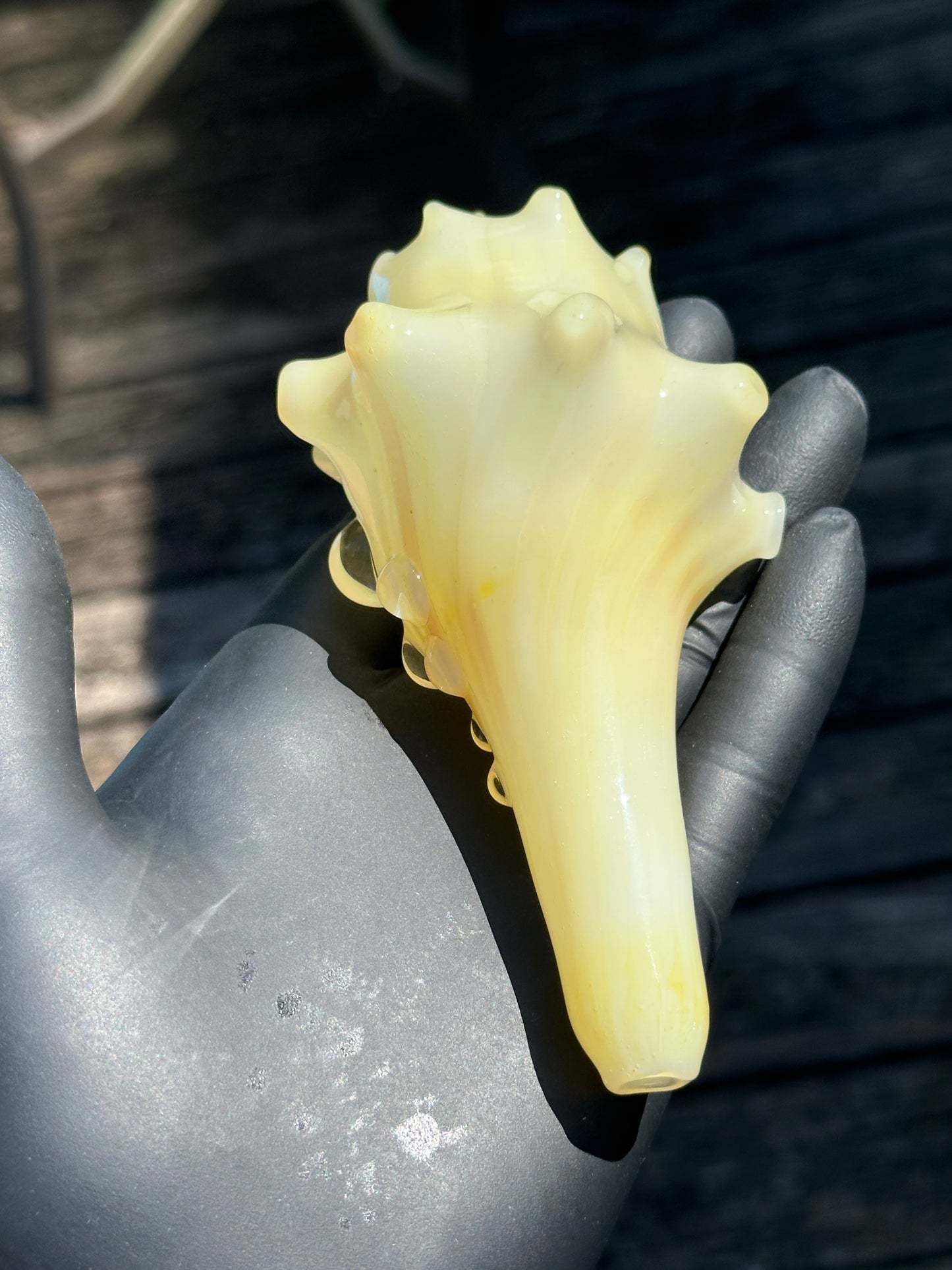 Natural Colored functional dry conch