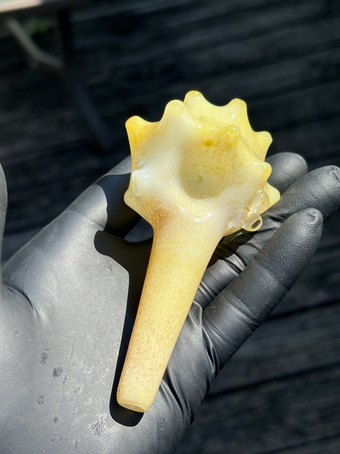 Natural Colored functional dry conch
