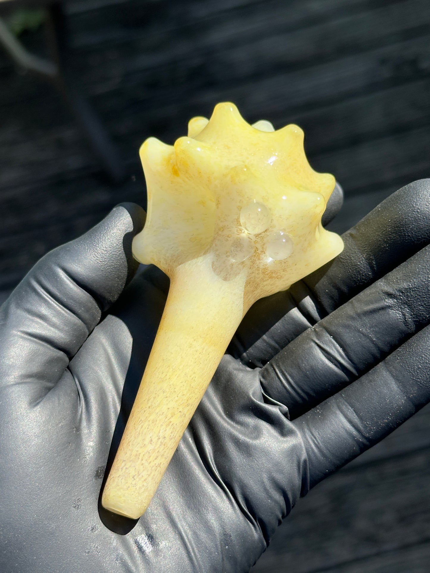 Natural Colored functional dry conch