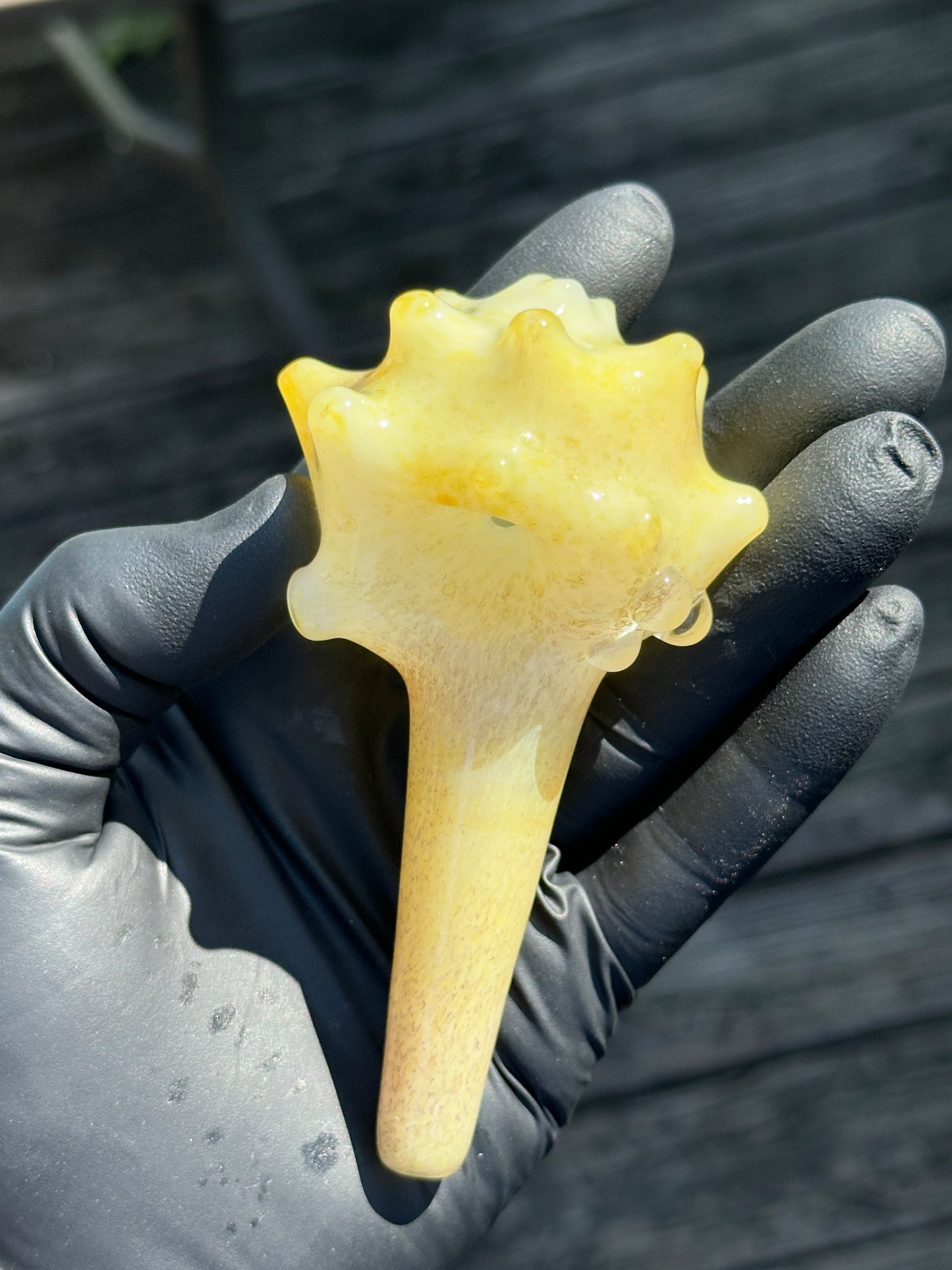 Natural Colored functional dry conch
