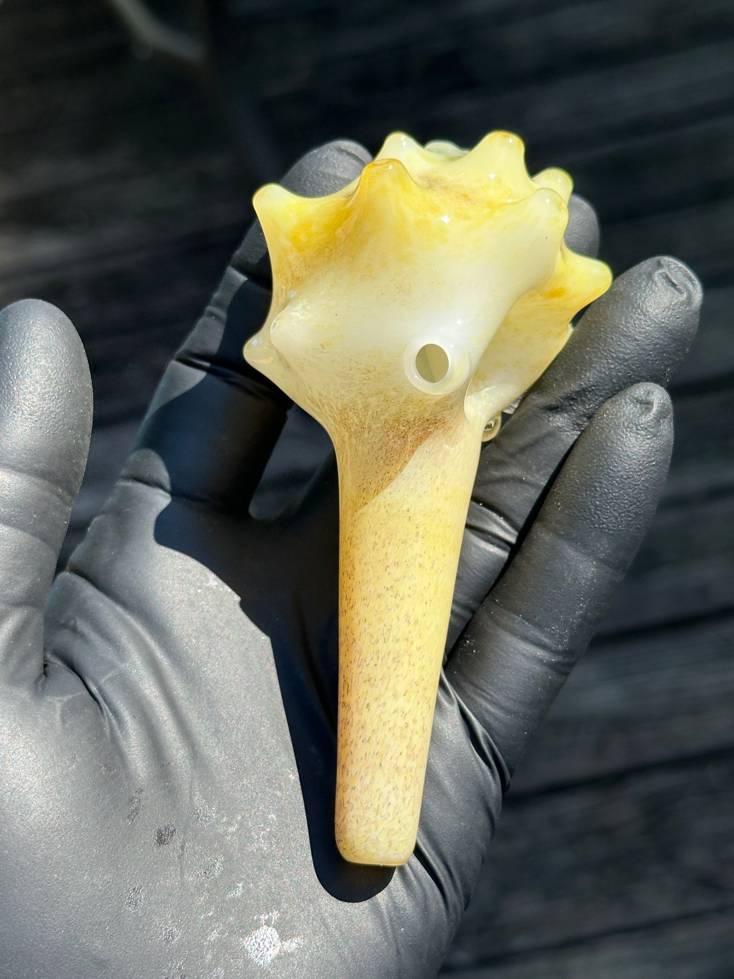 Natural Colored functional dry conch