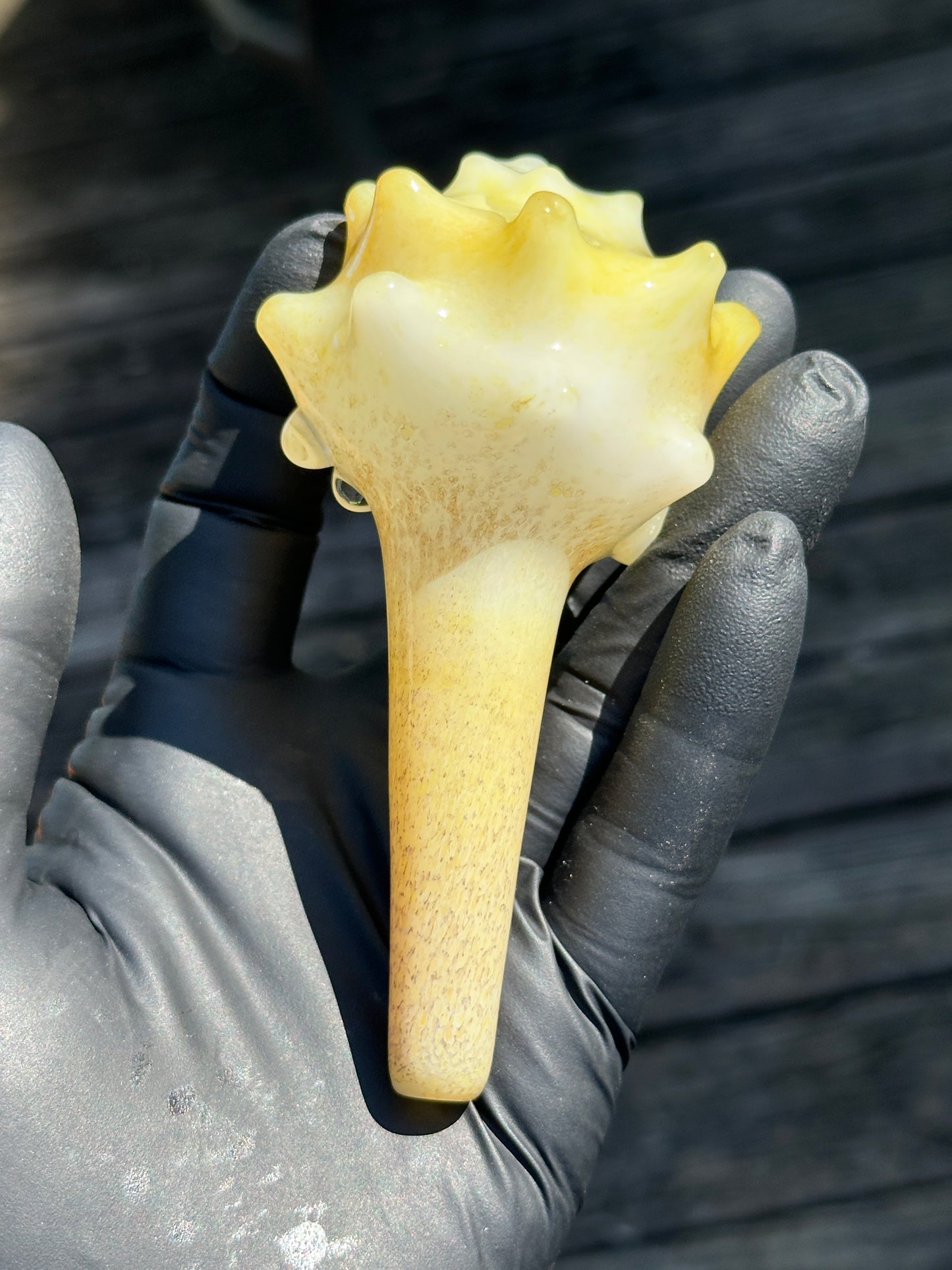 Natural Colored functional dry conch