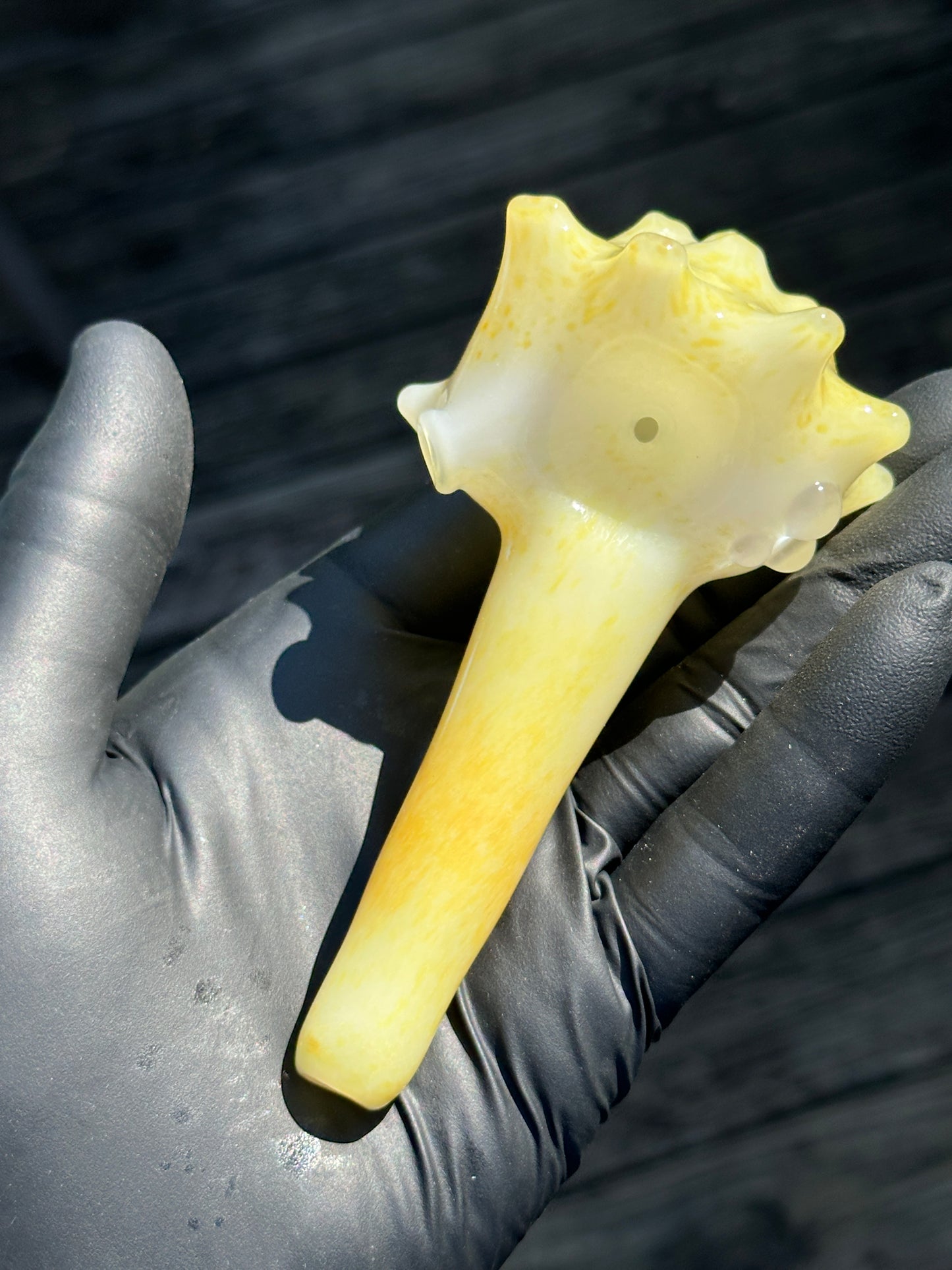 Natural Colored functional dry conch