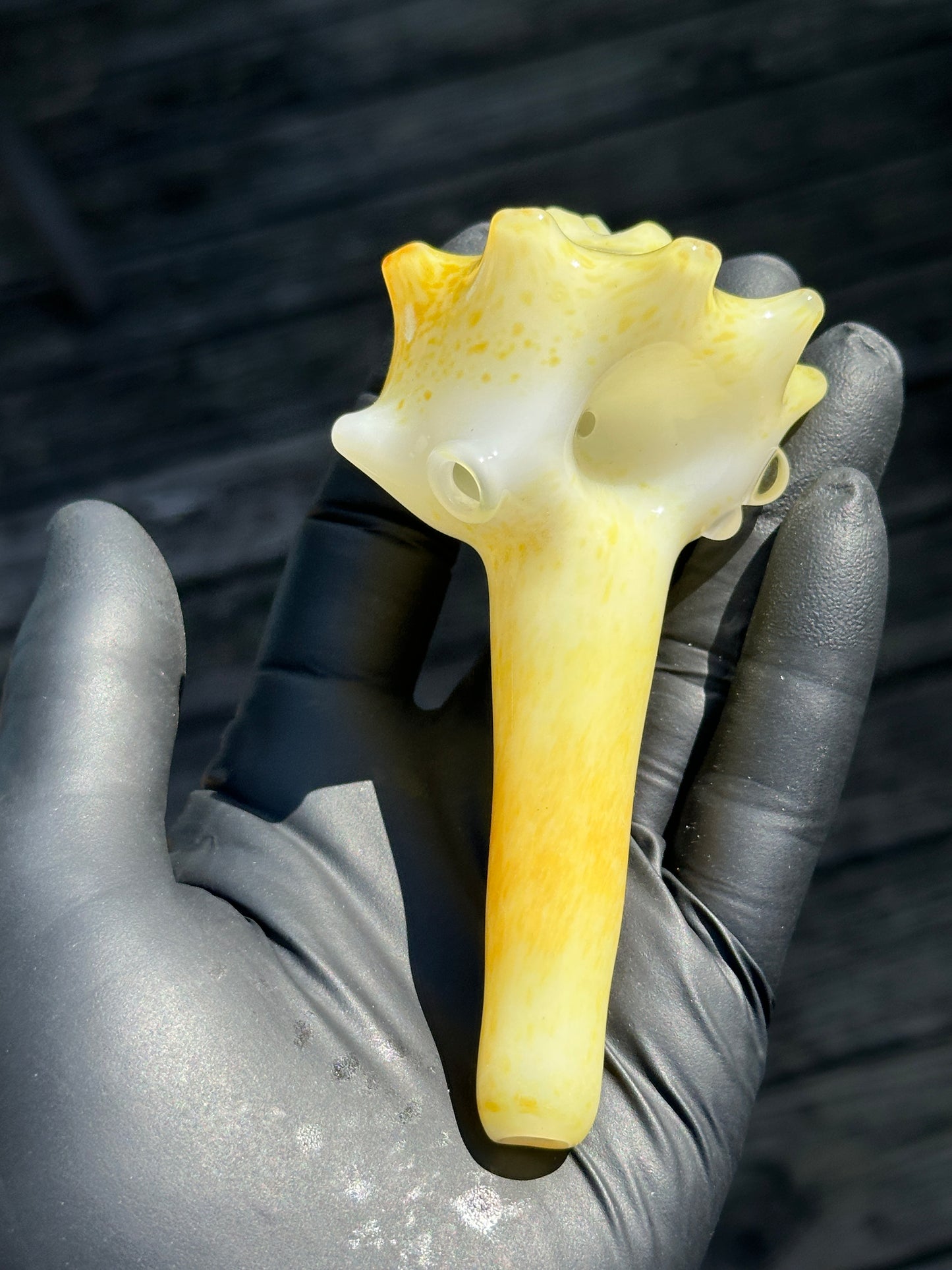 Natural Colored functional dry conch