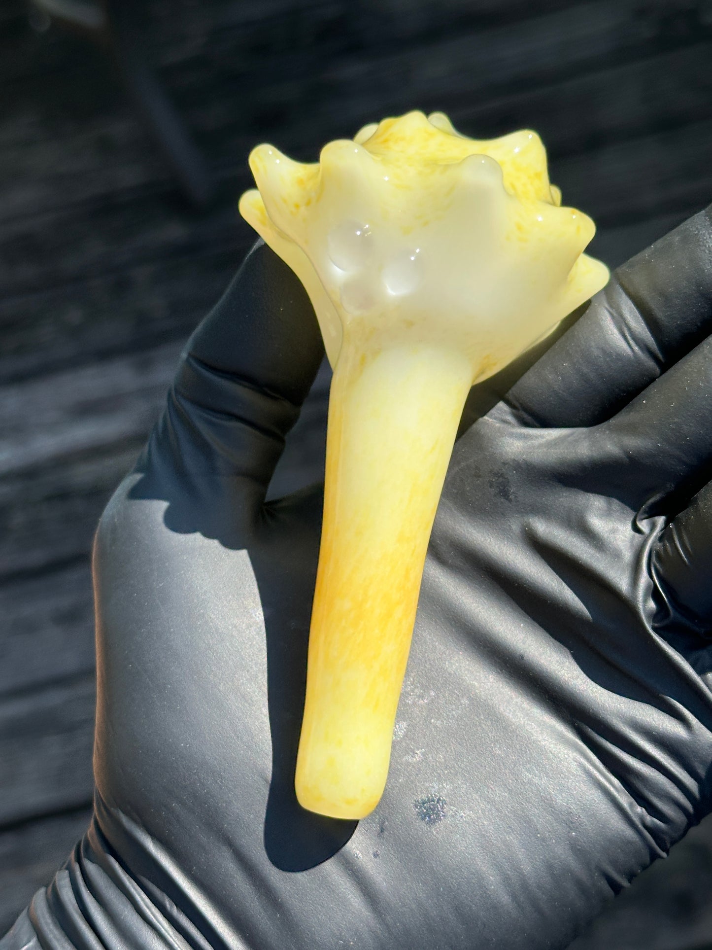 Natural Colored functional dry conch