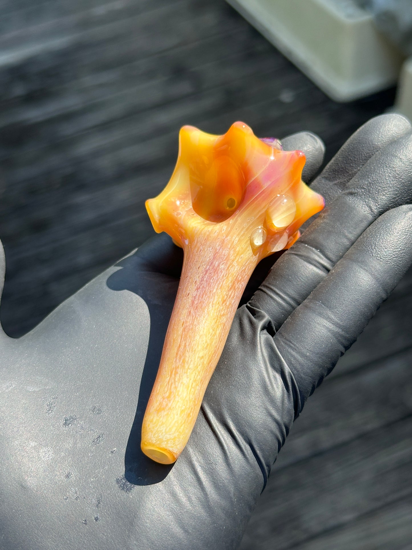 Natural Colored functional dry conch