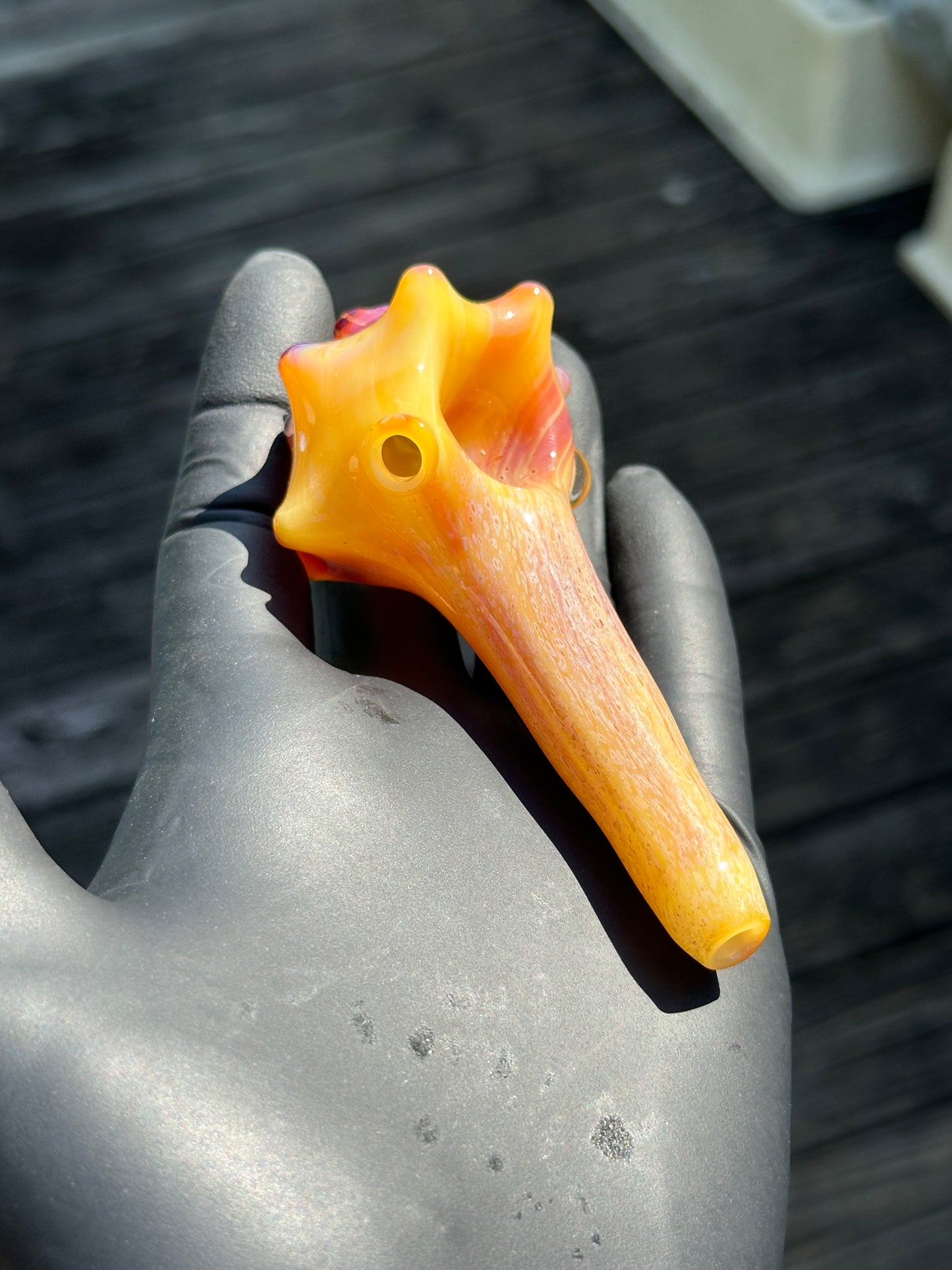 Natural Colored functional dry conch