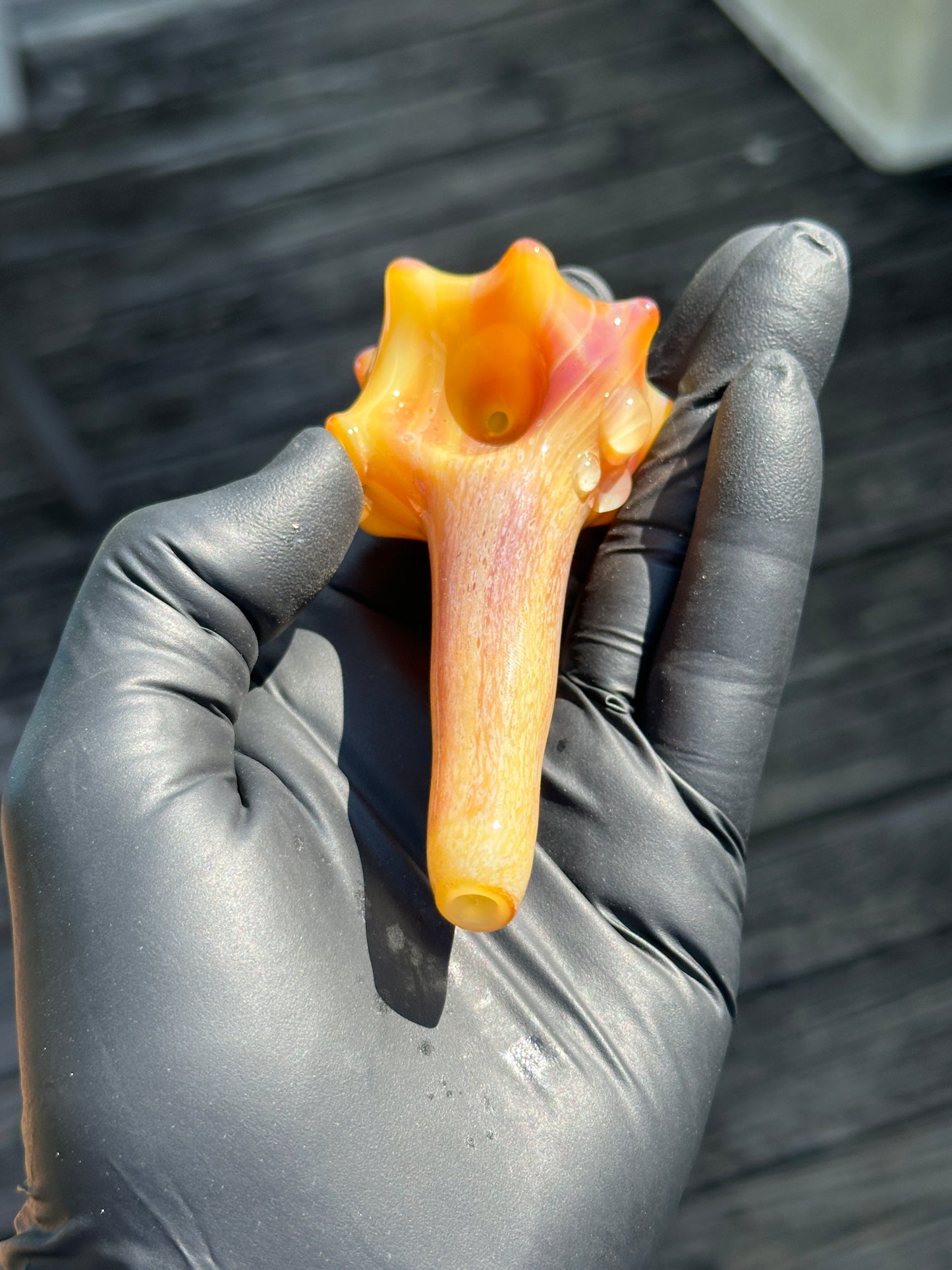 Natural Colored functional dry conch