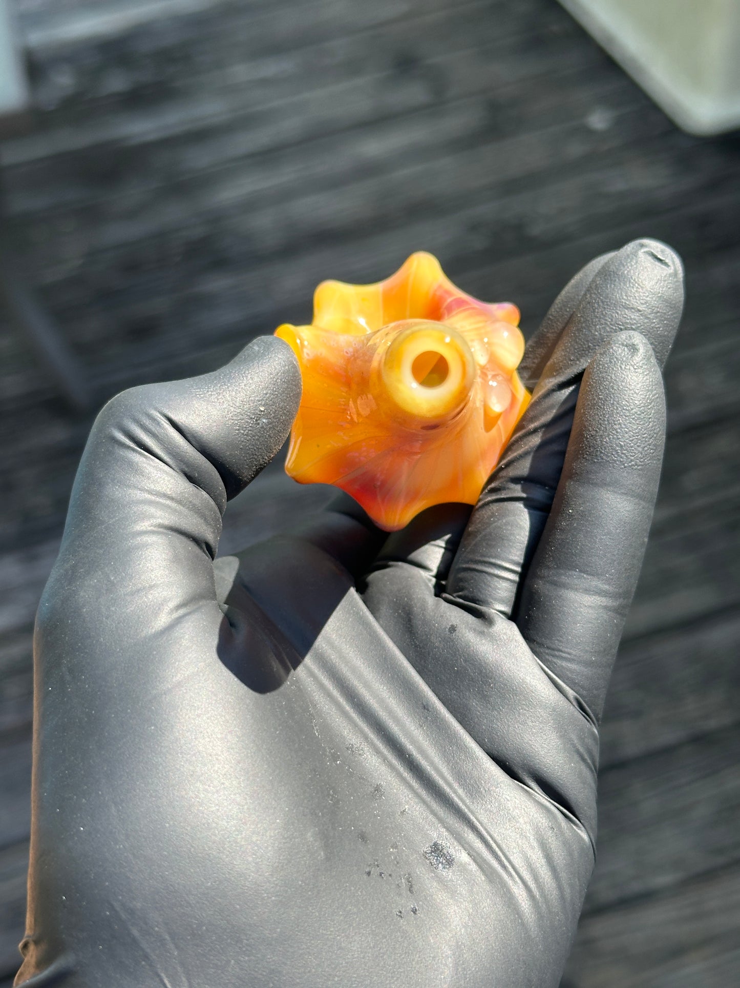 Natural Colored functional dry conch