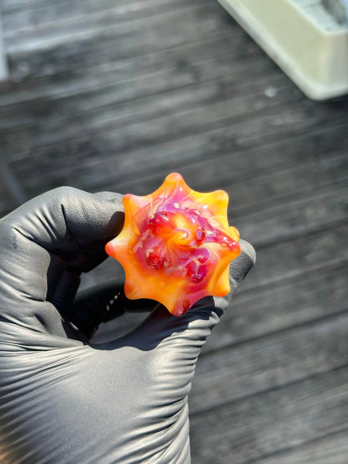 Natural Colored functional dry conch