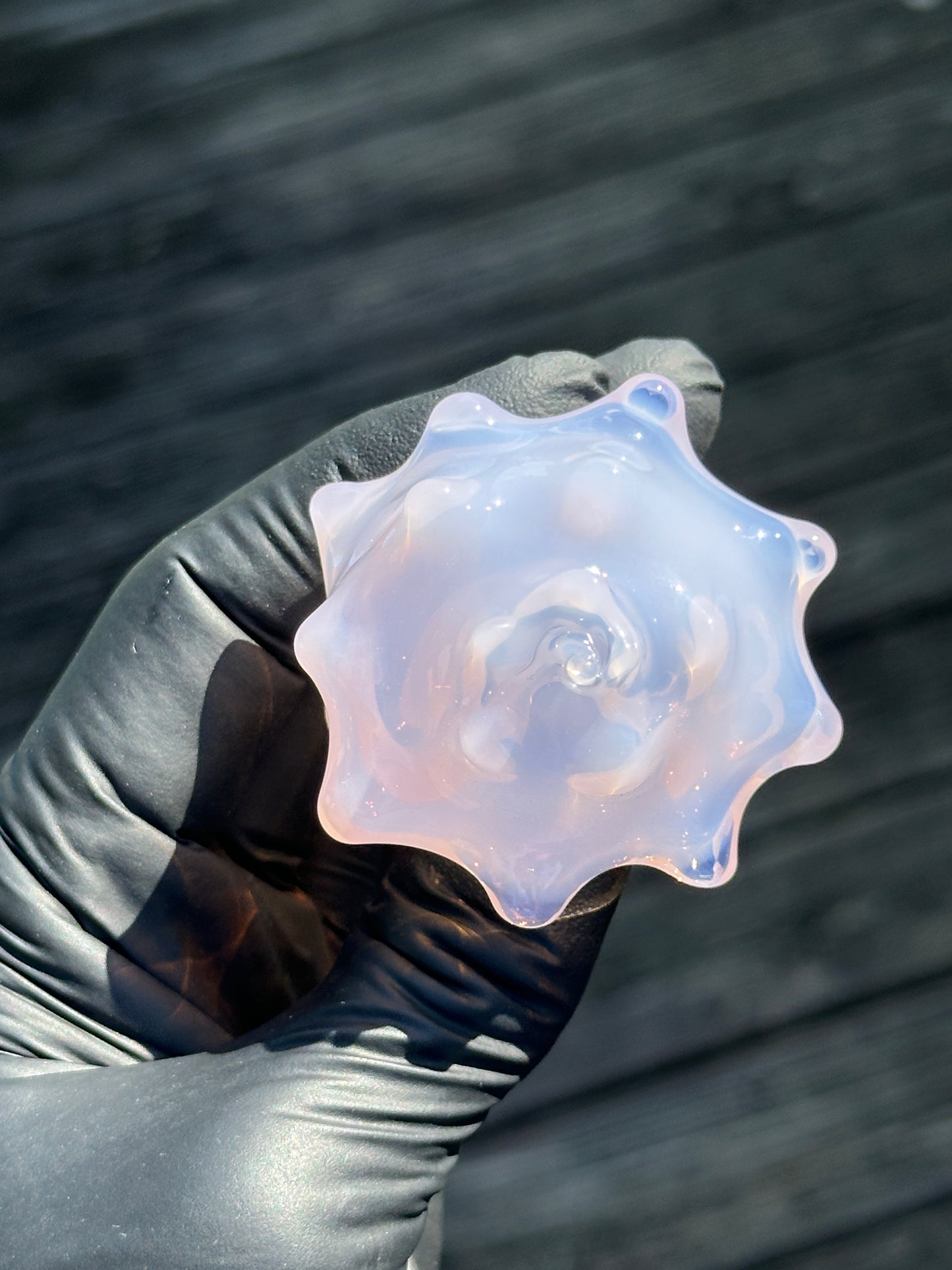 Purple functional dry conch