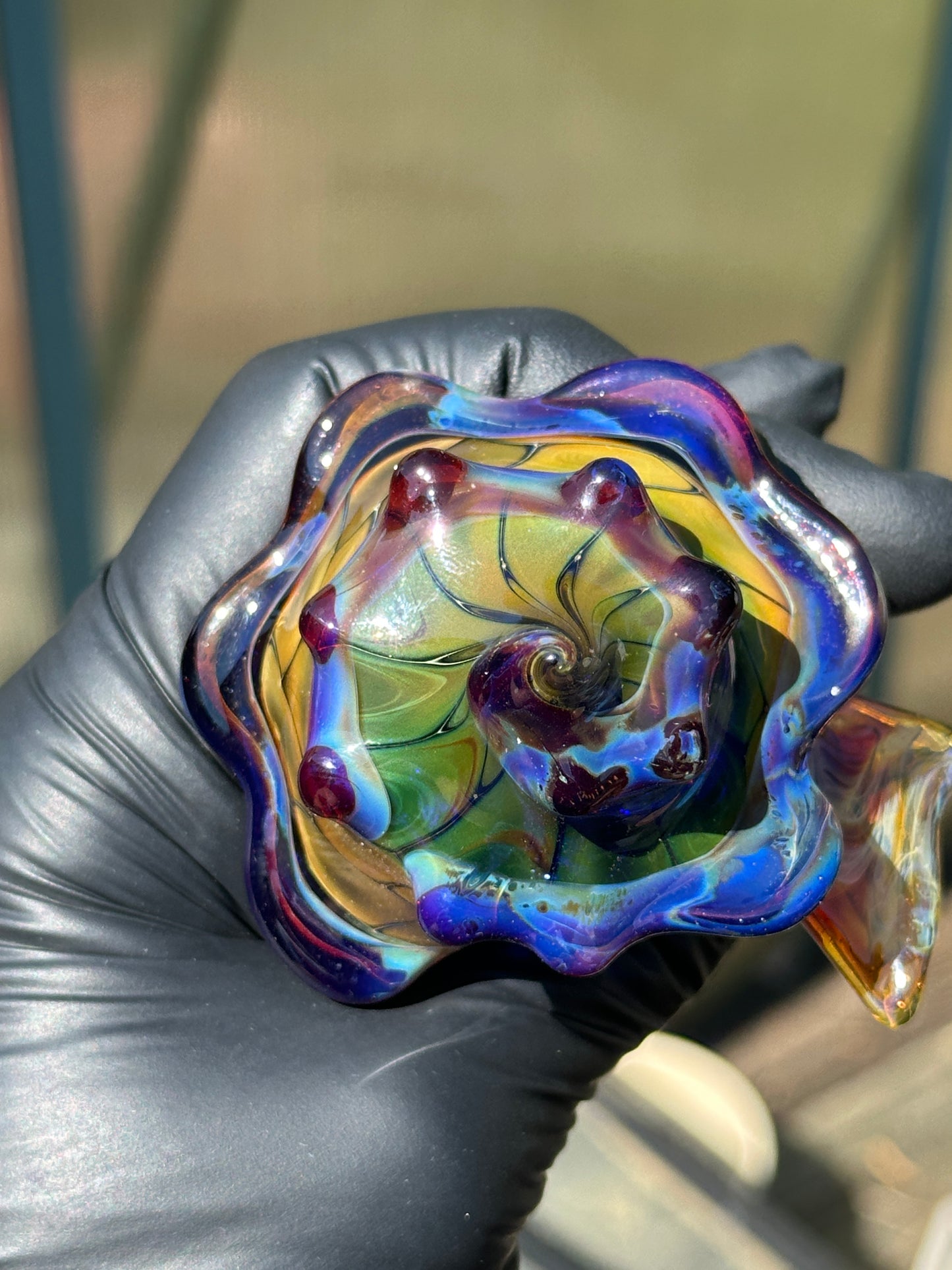 fume on cobalt scale pattern functional dry conch