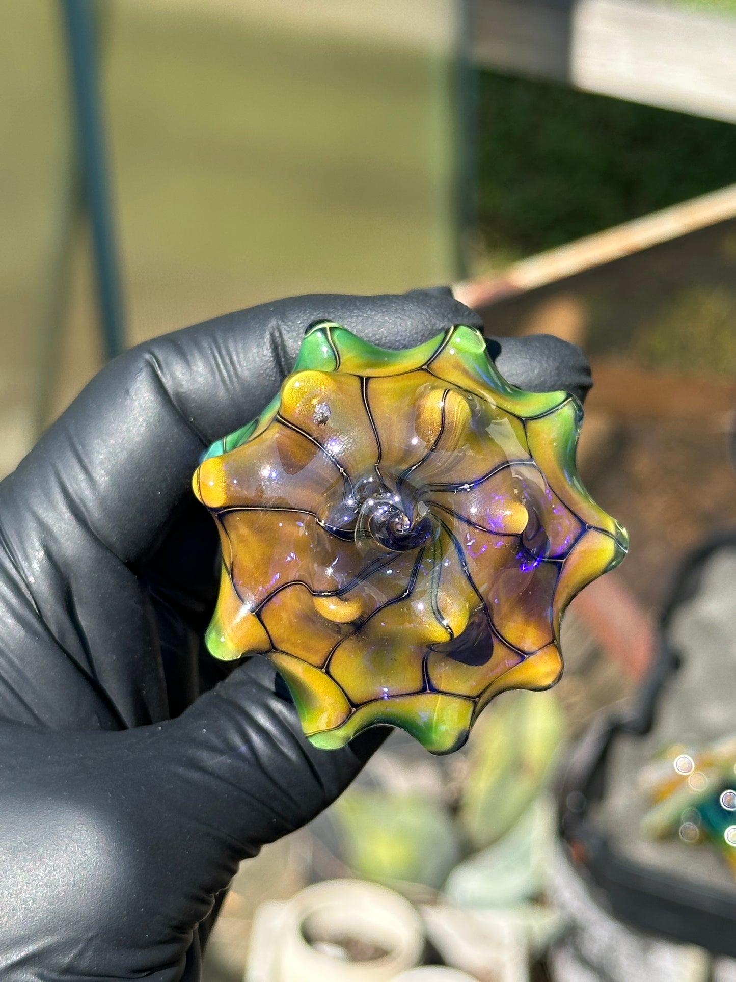 Fume on cobalt scale pattern dry function conch