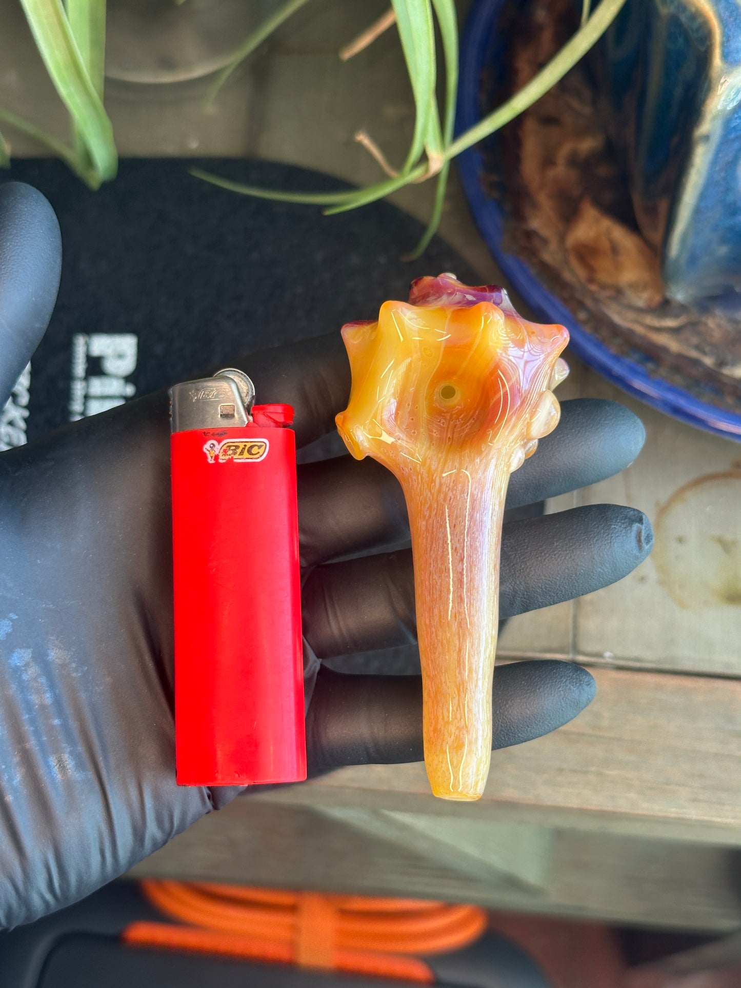 Natural Colored functional dry conch