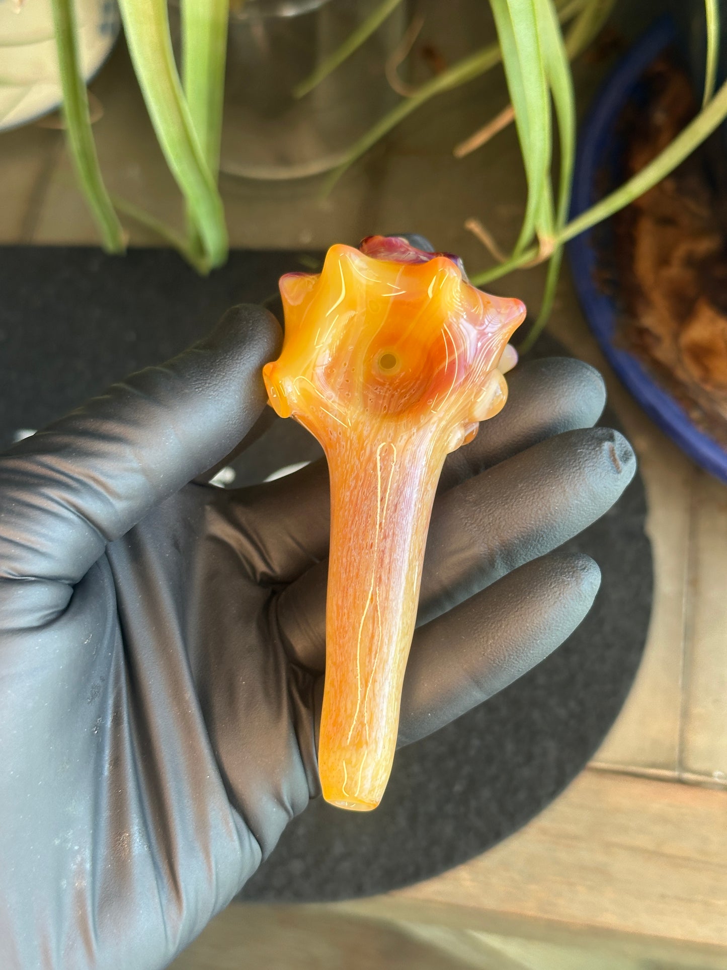 Natural Colored functional dry conch
