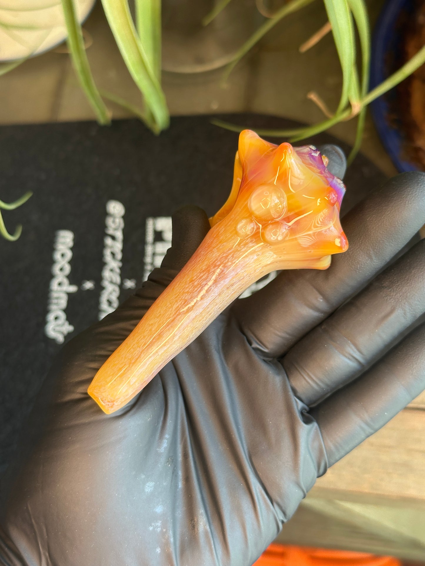 Natural Colored functional dry conch