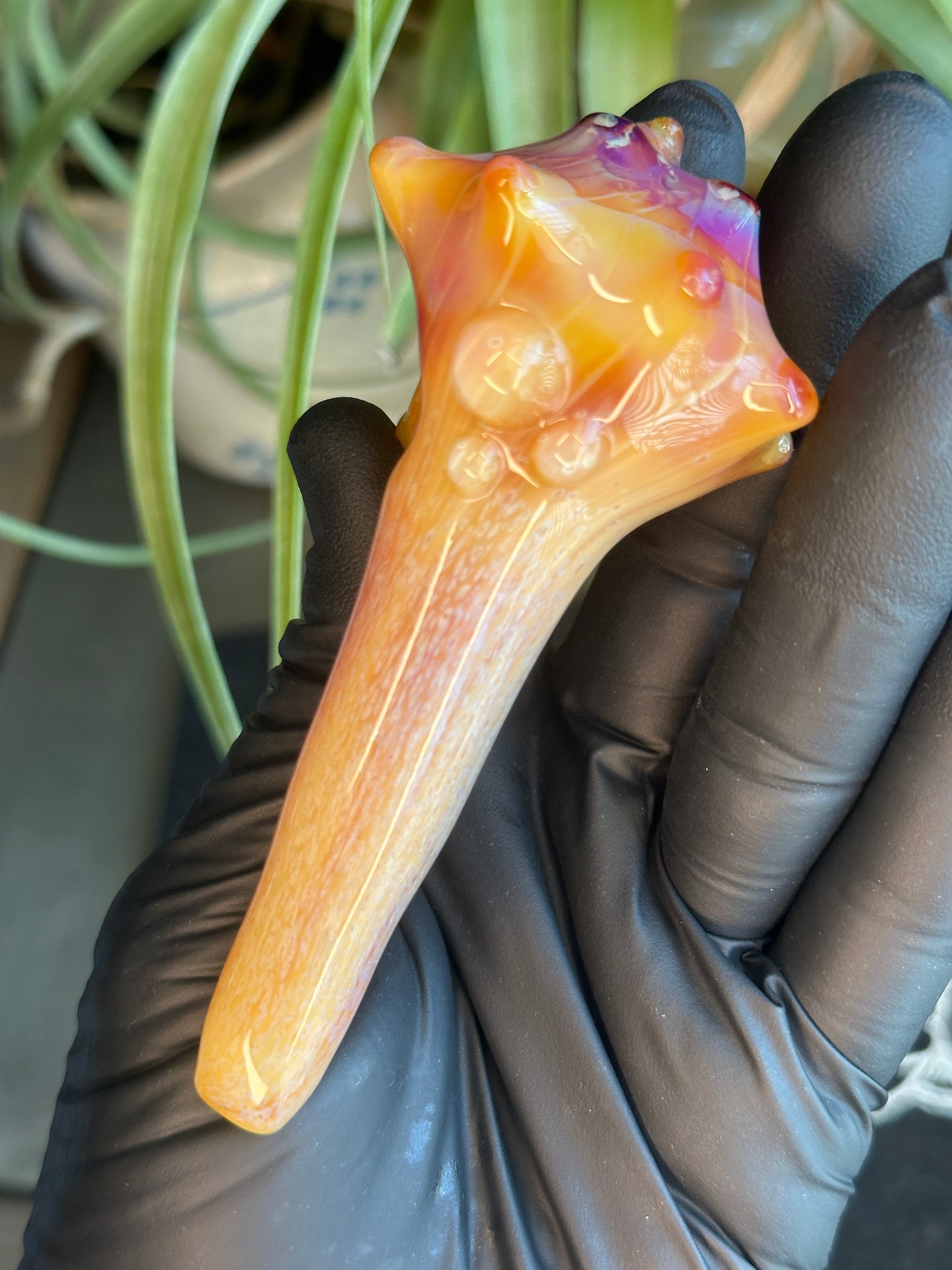 Natural Colored functional dry conch