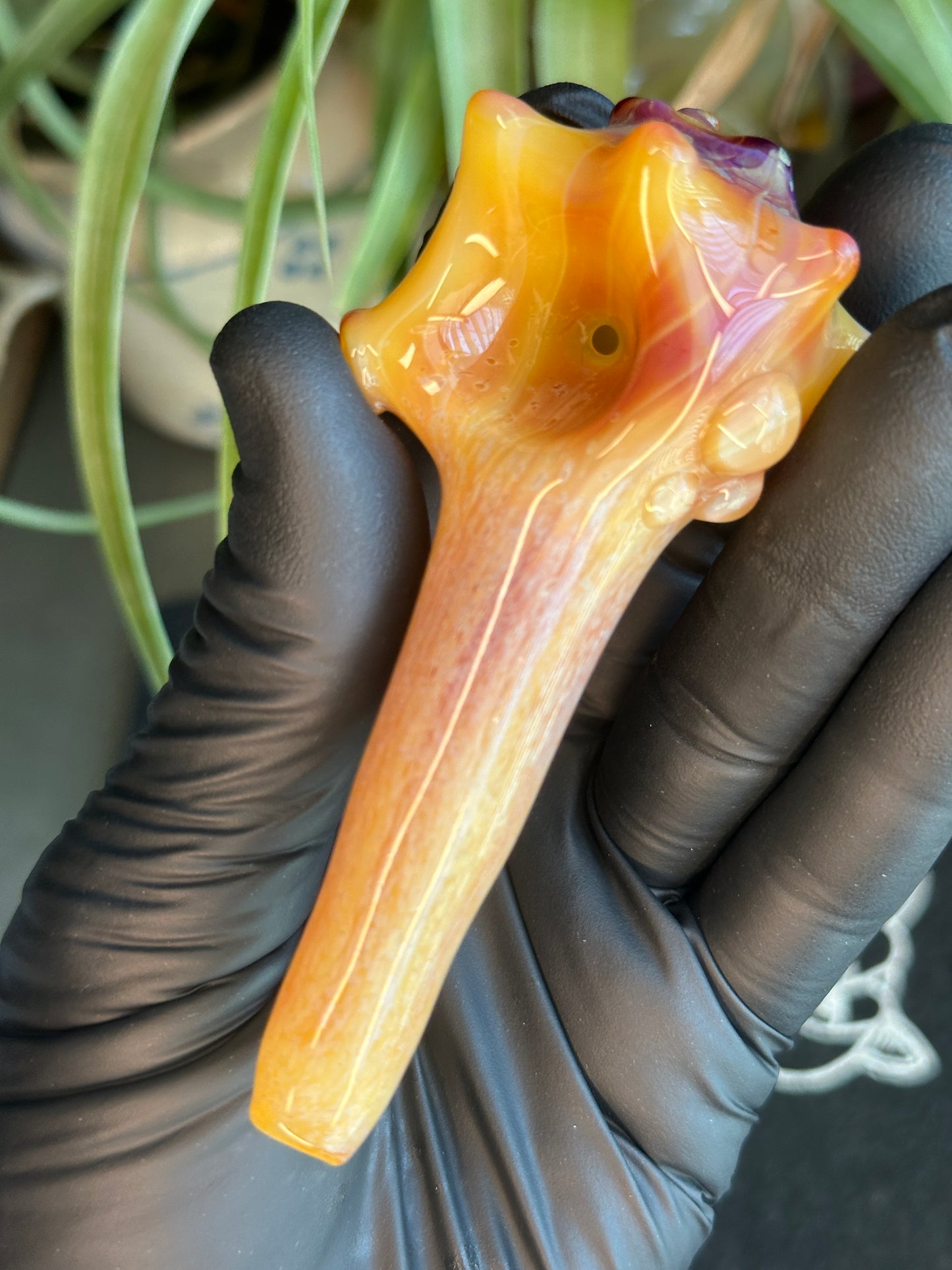 Natural Colored functional dry conch