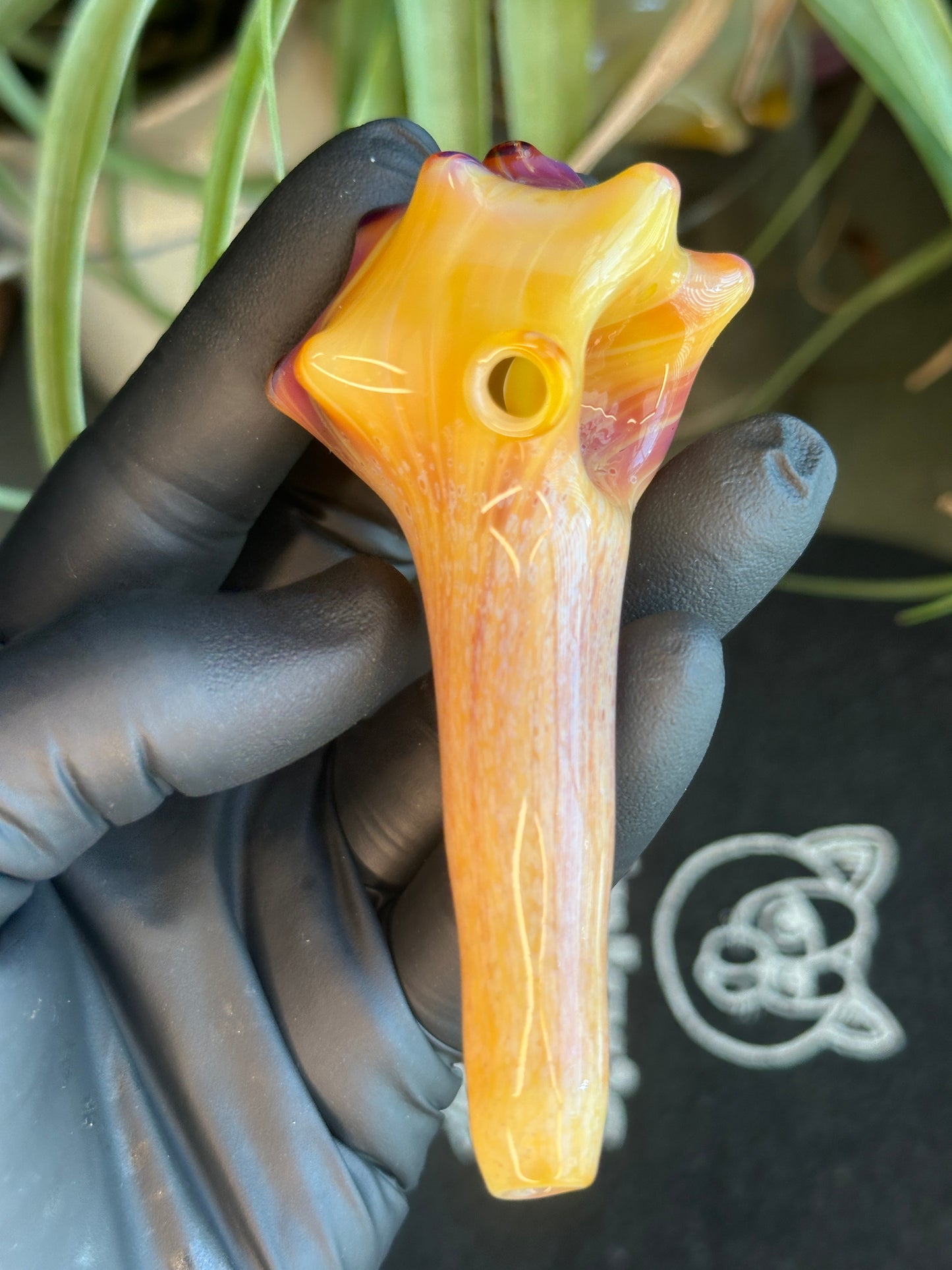 Natural Colored functional dry conch