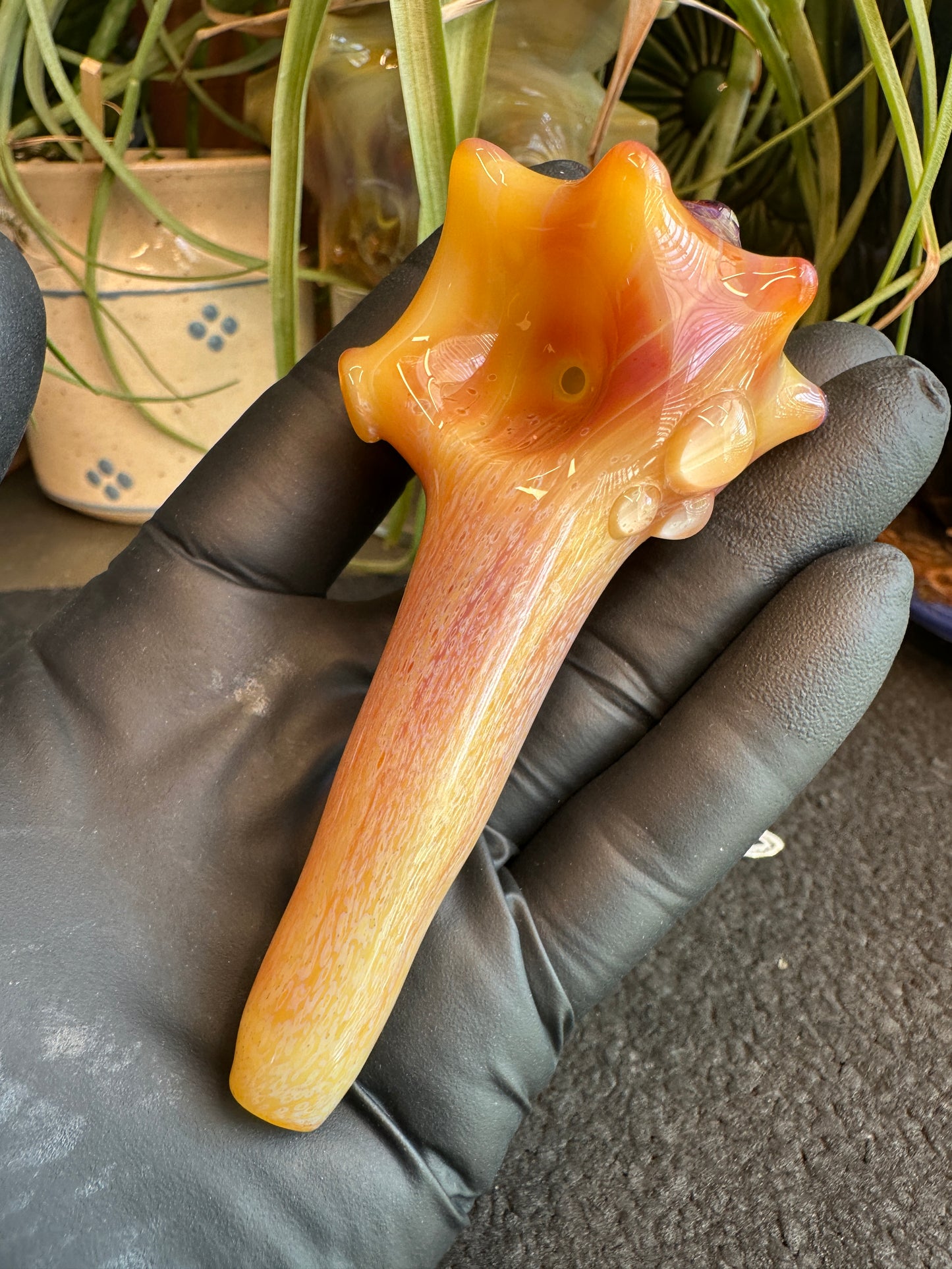 Natural Colored functional dry conch
