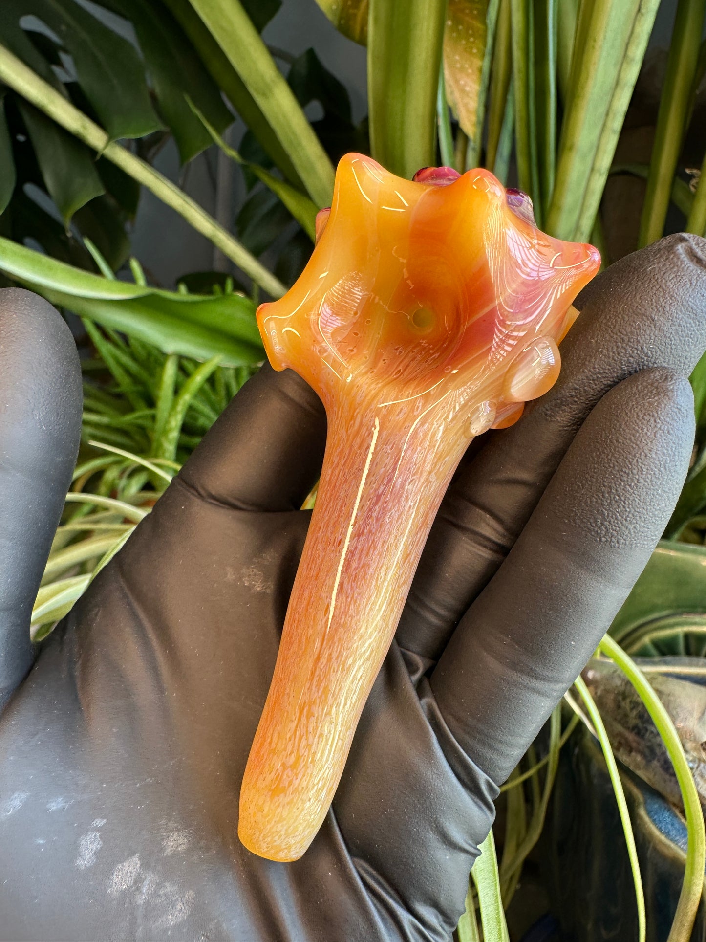 Natural Colored functional dry conch