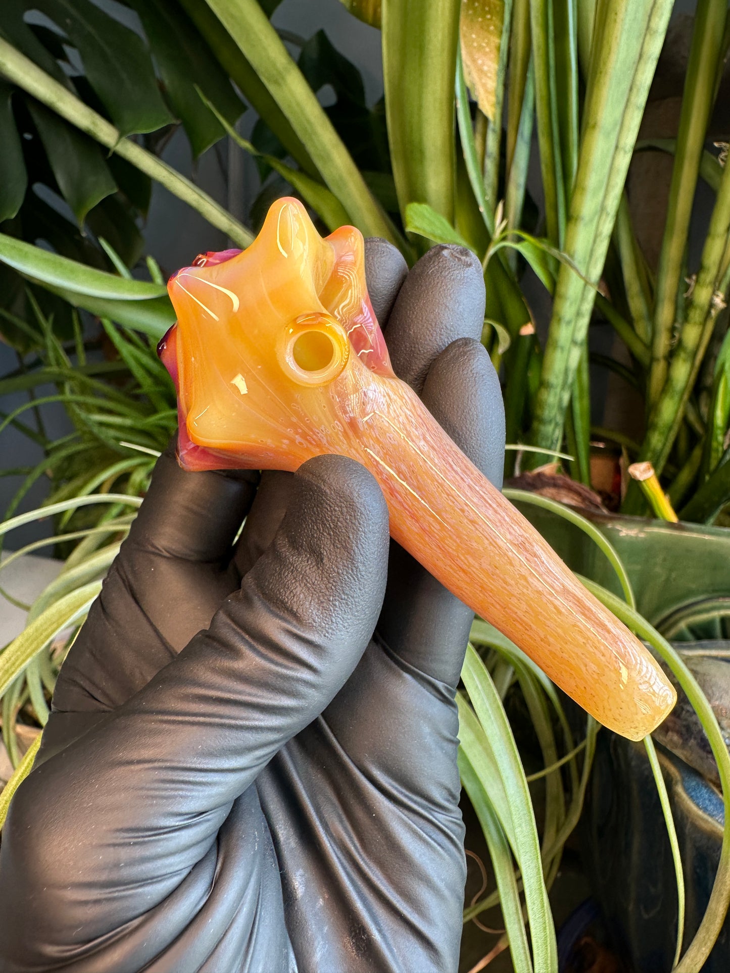 Natural Colored functional dry conch