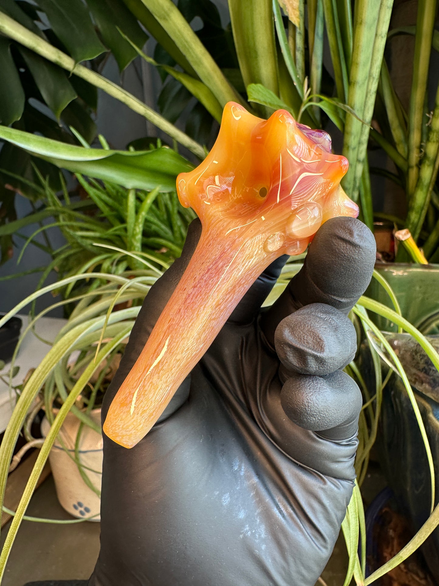 Natural Colored functional dry conch