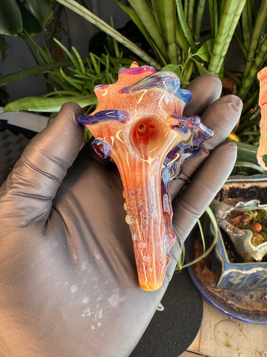 Natural Colored functional dry conch