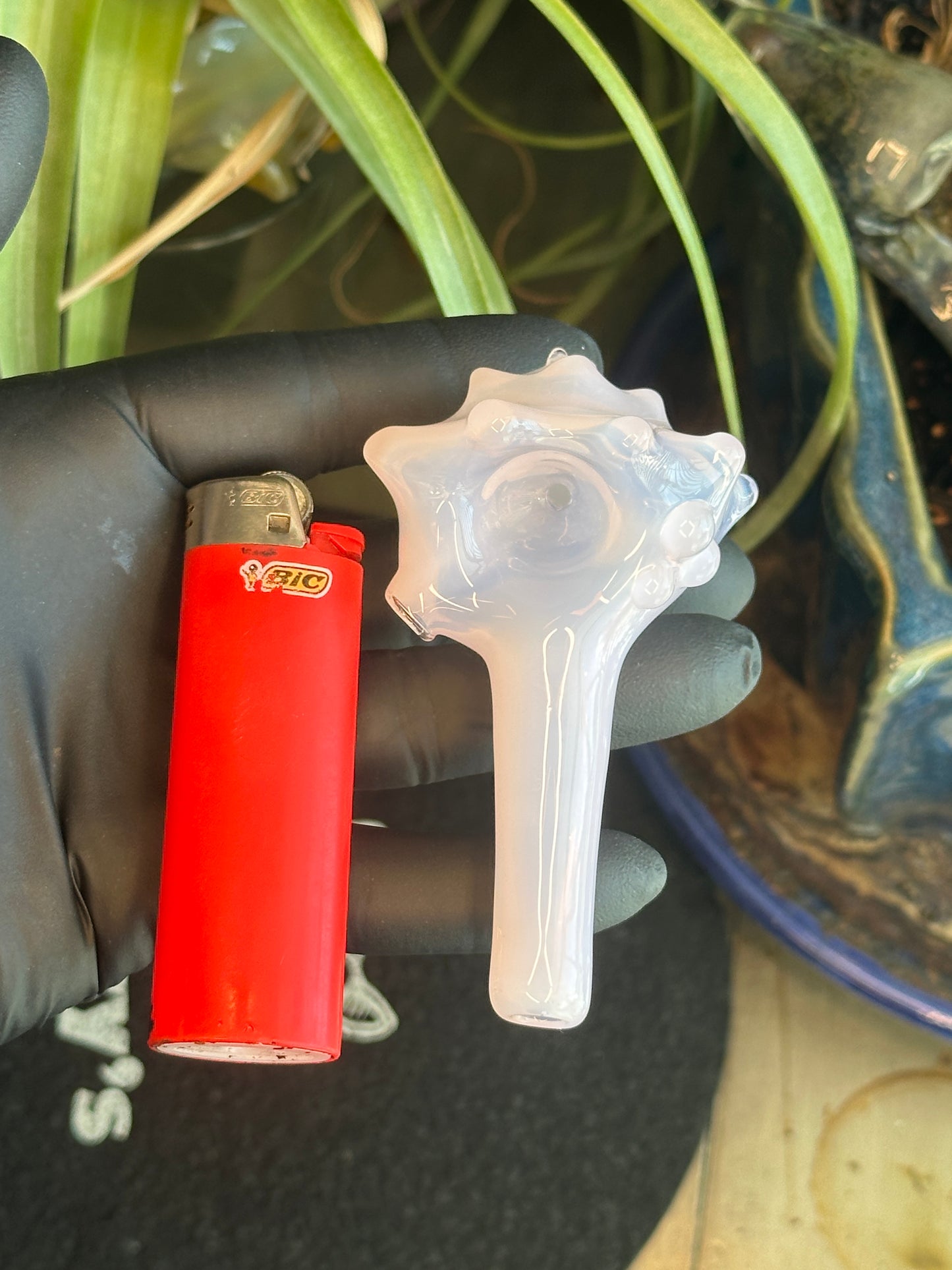 Purple functional dry conch