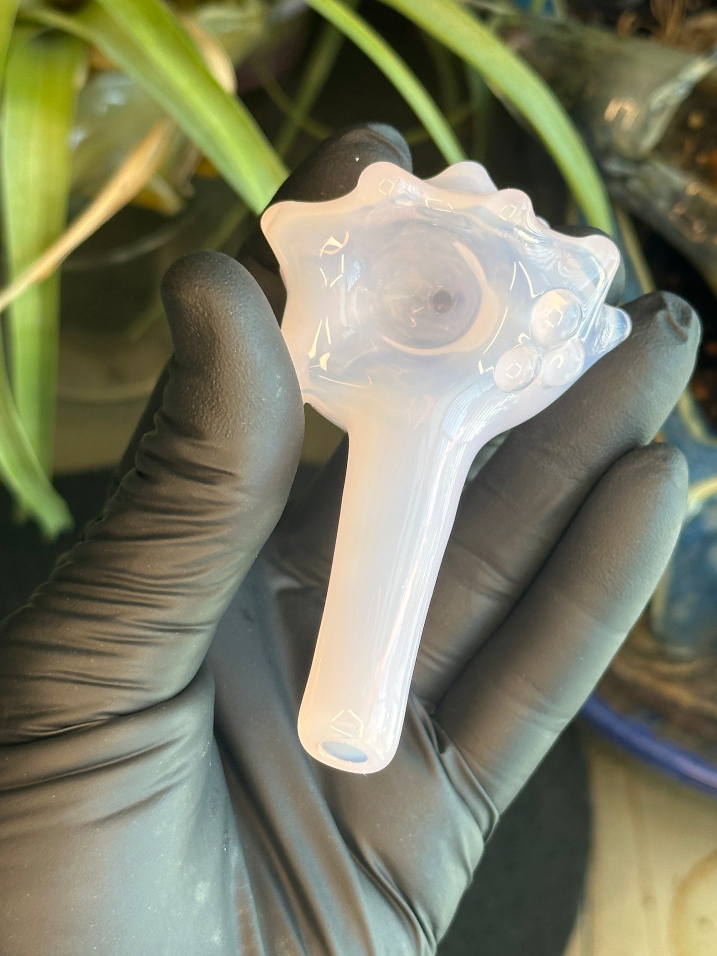 Purple functional dry conch