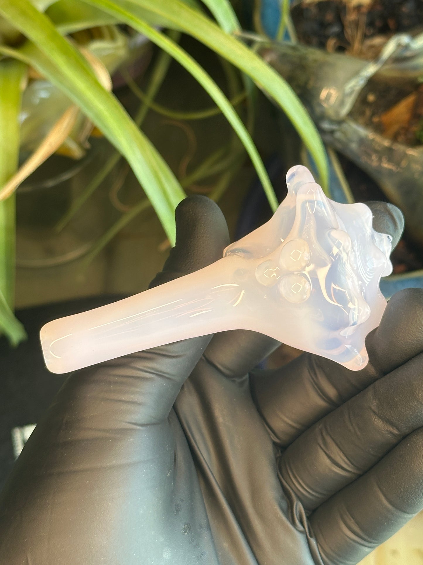 Purple functional dry conch