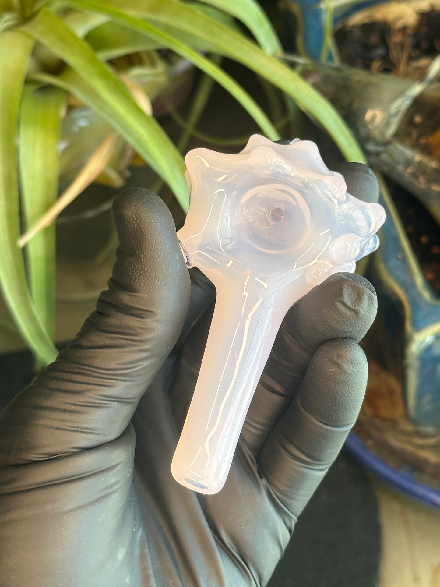 Purple functional dry conch