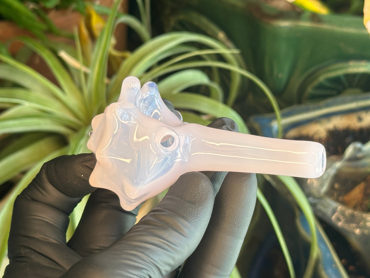 Purple functional dry conch