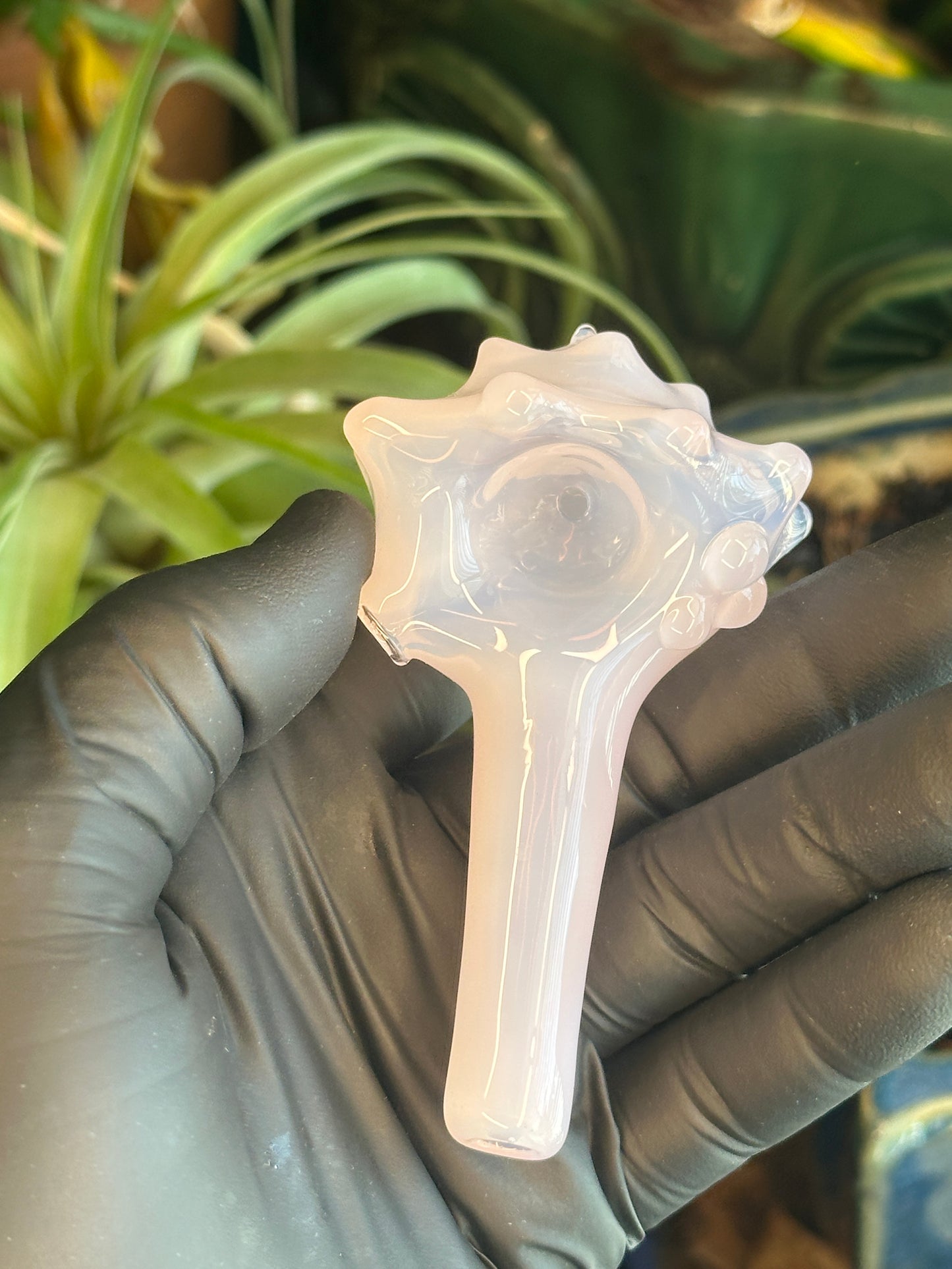 Purple functional dry conch
