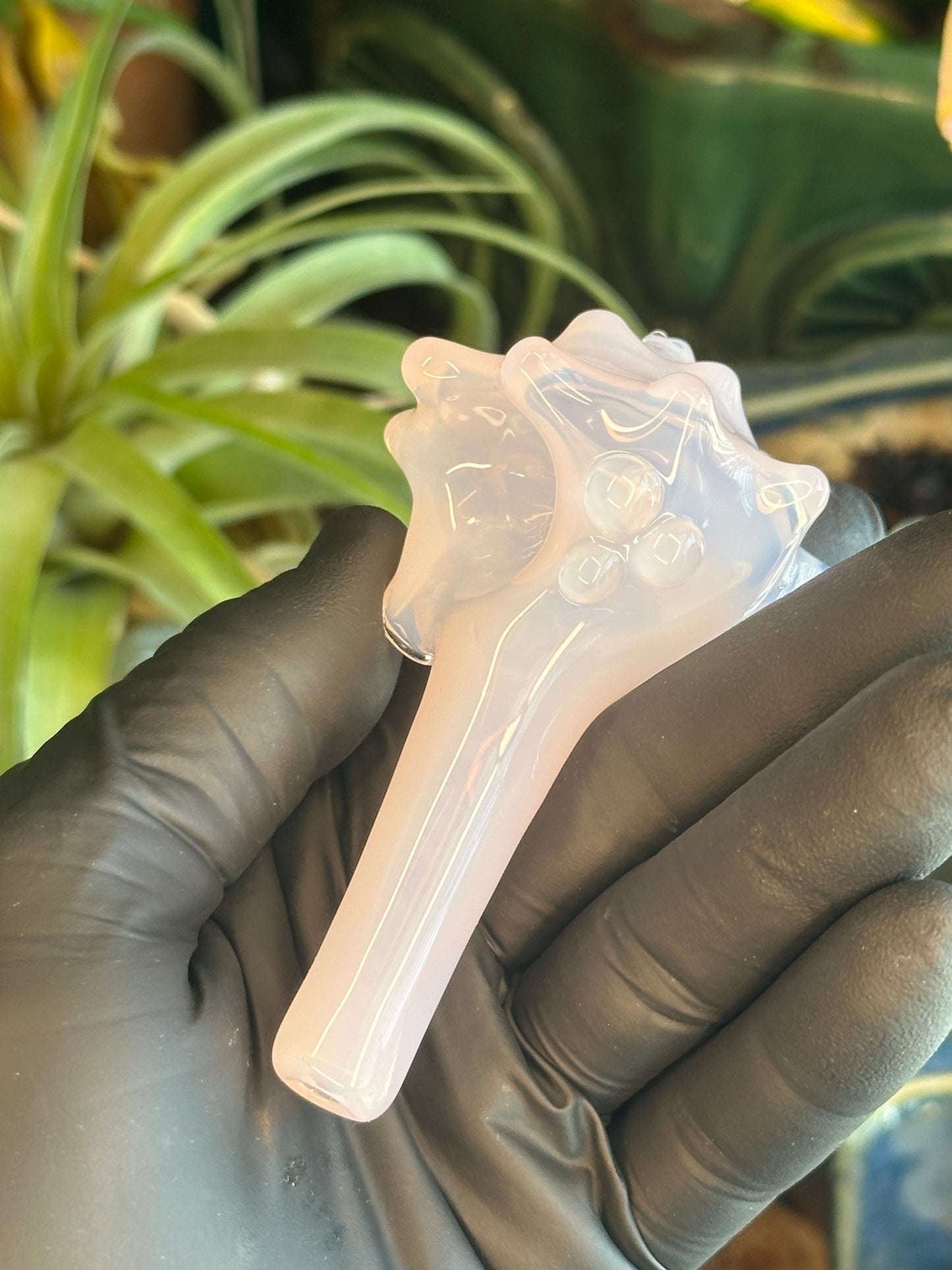 Purple functional dry conch