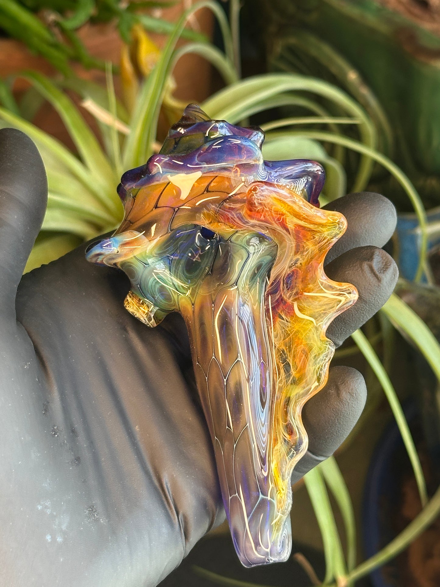 fume on cobalt scale pattern functional dry conch