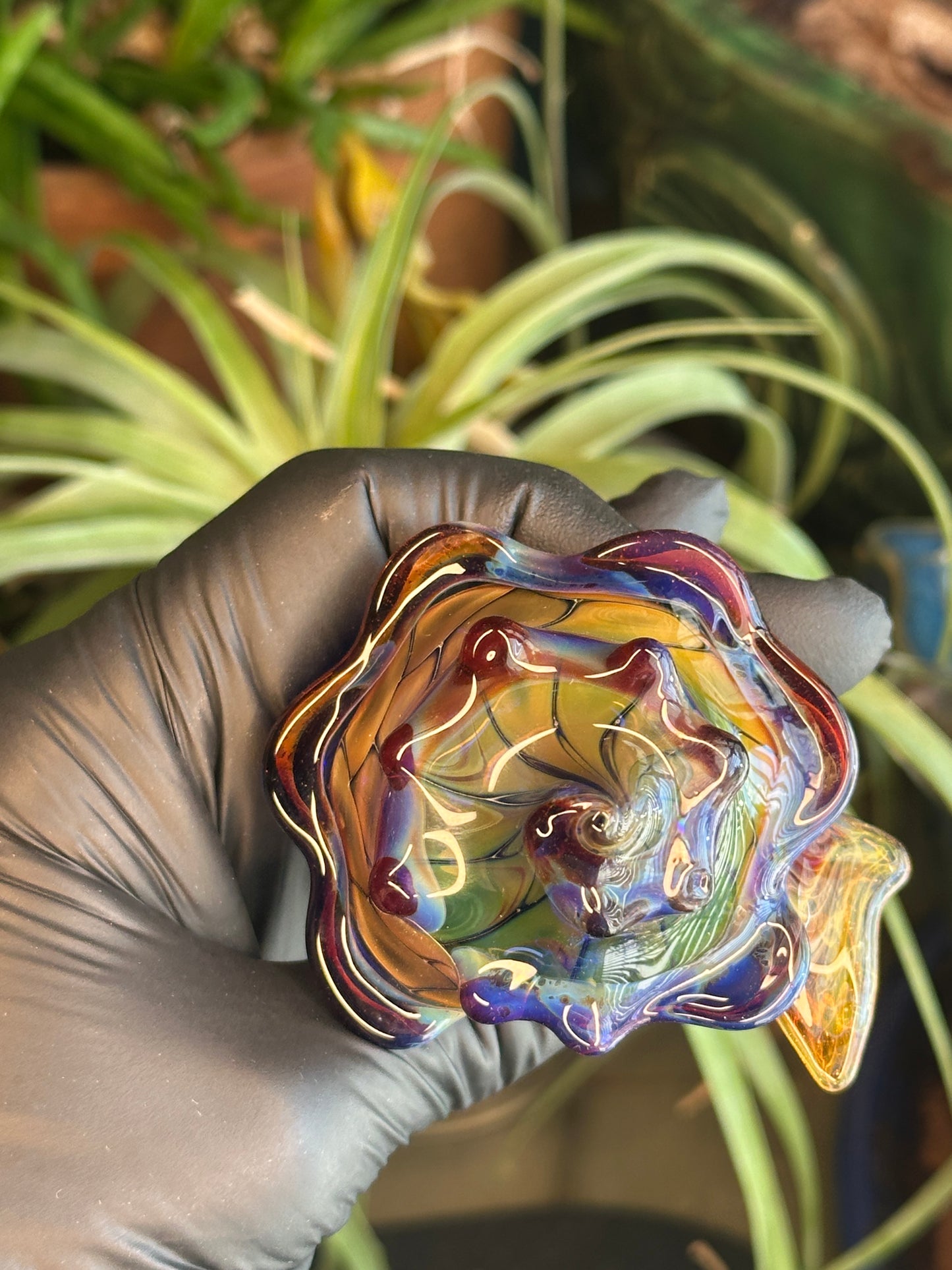 fume on cobalt scale pattern functional dry conch