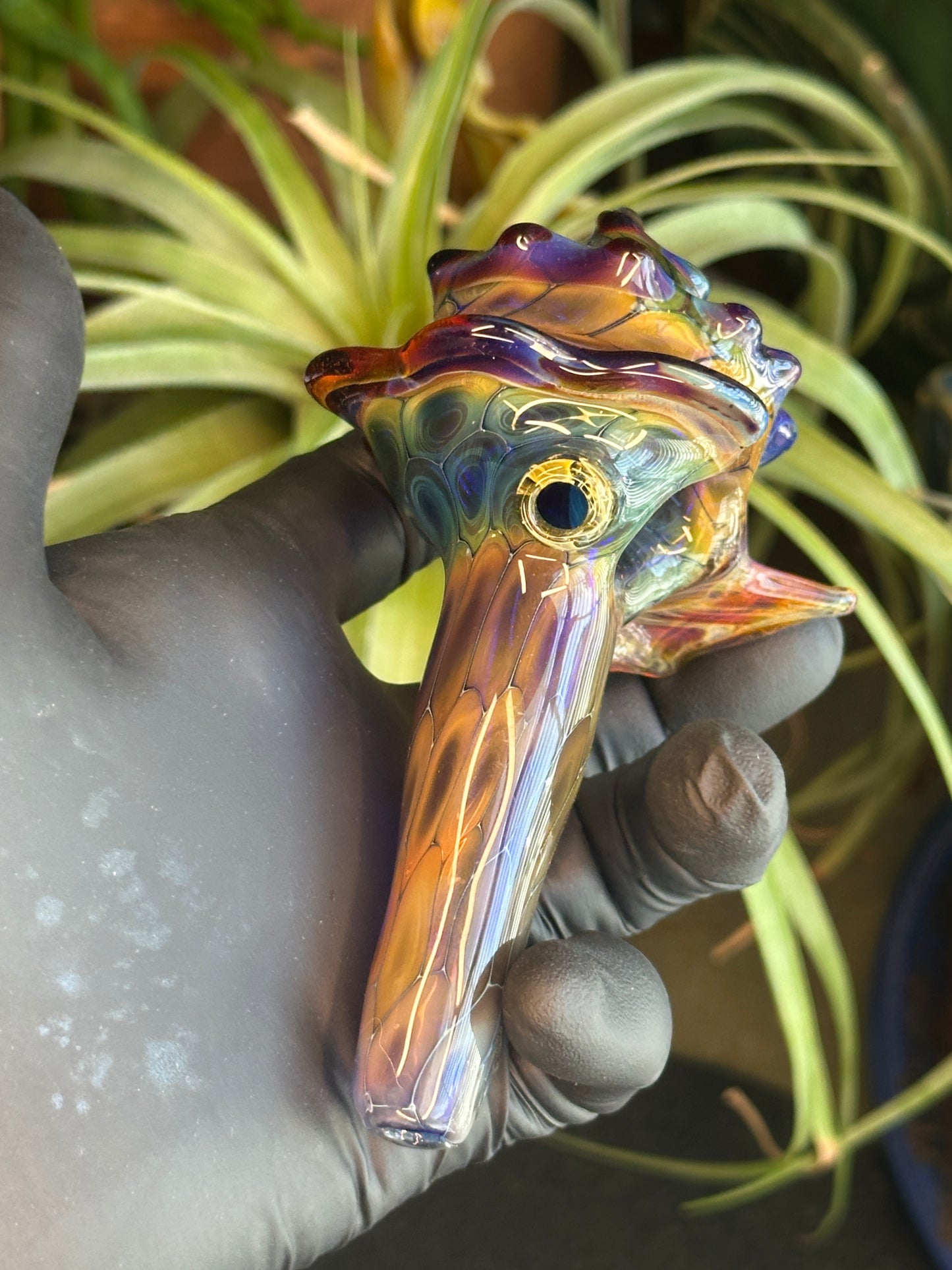 fume on cobalt scale pattern functional dry conch