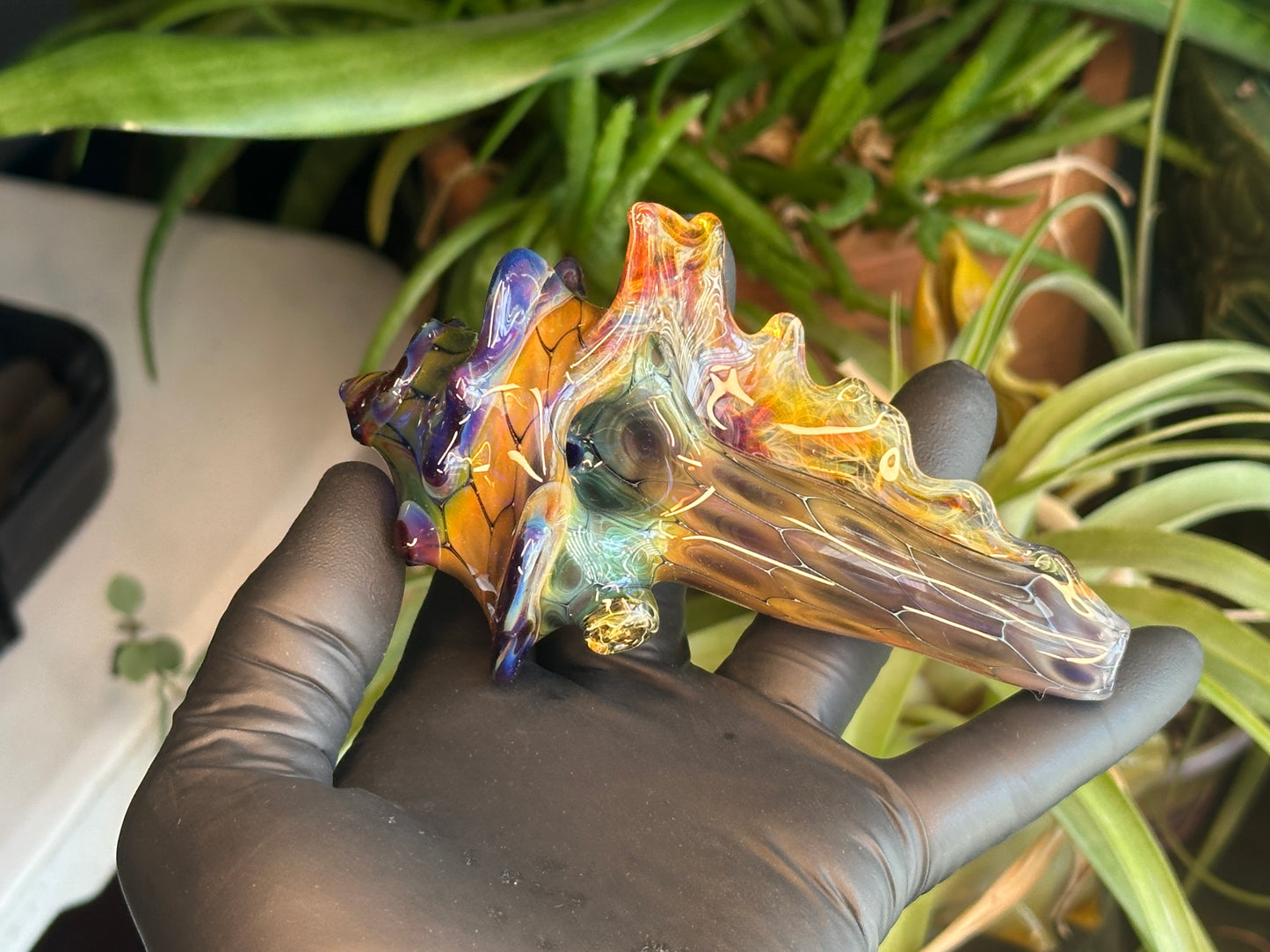 fume on cobalt scale pattern functional dry conch