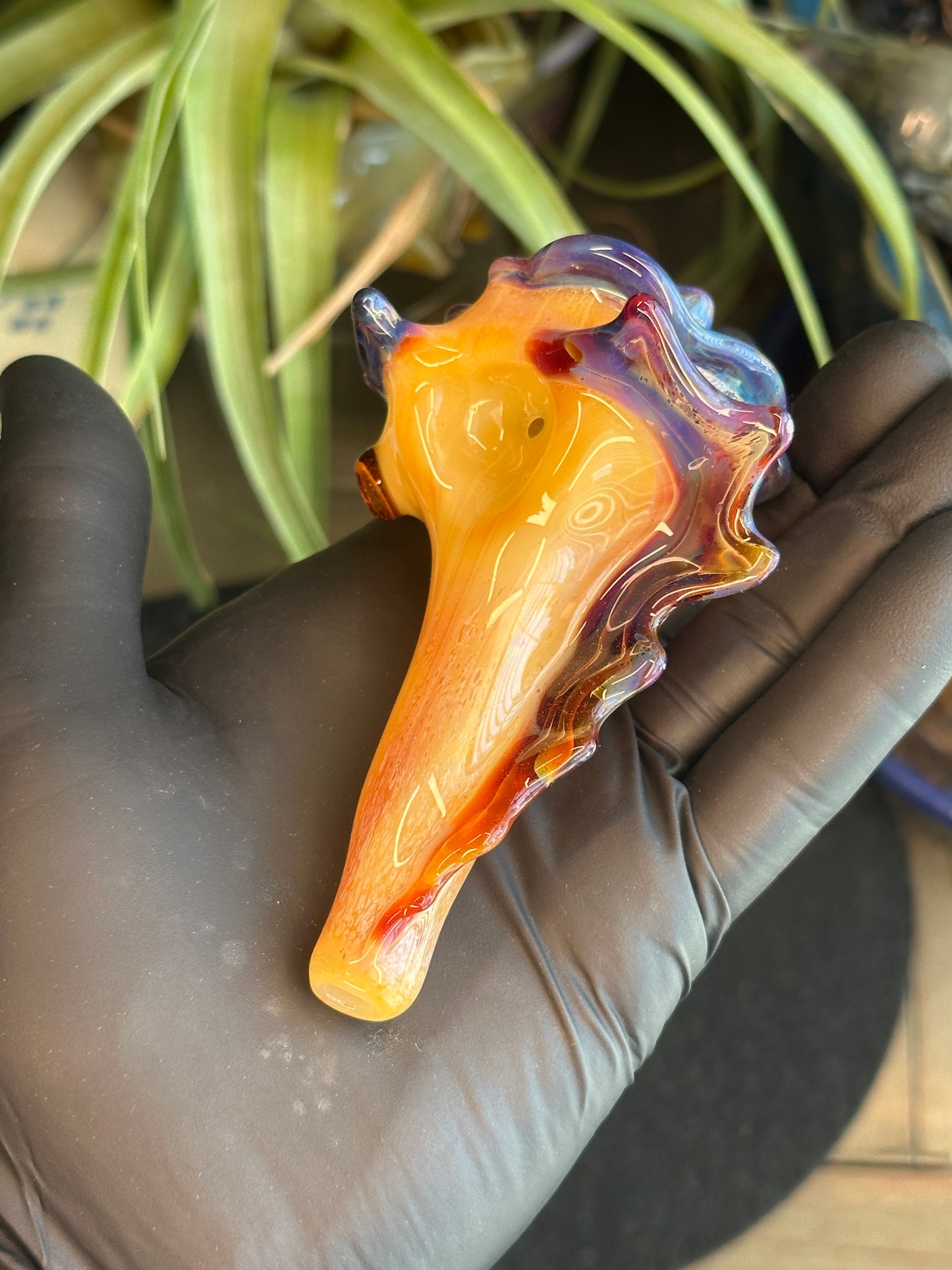 Natural Colored functional dry conch