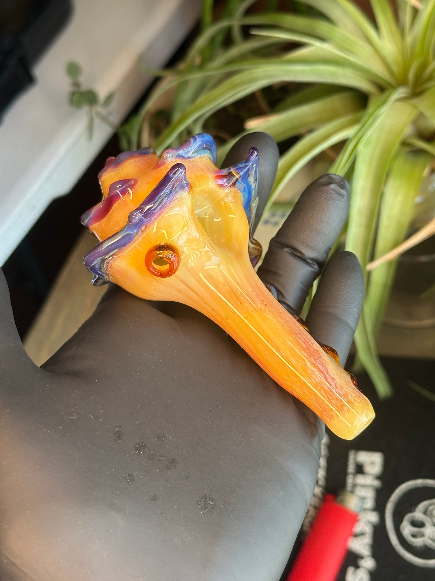 Natural Colored functional dry conch