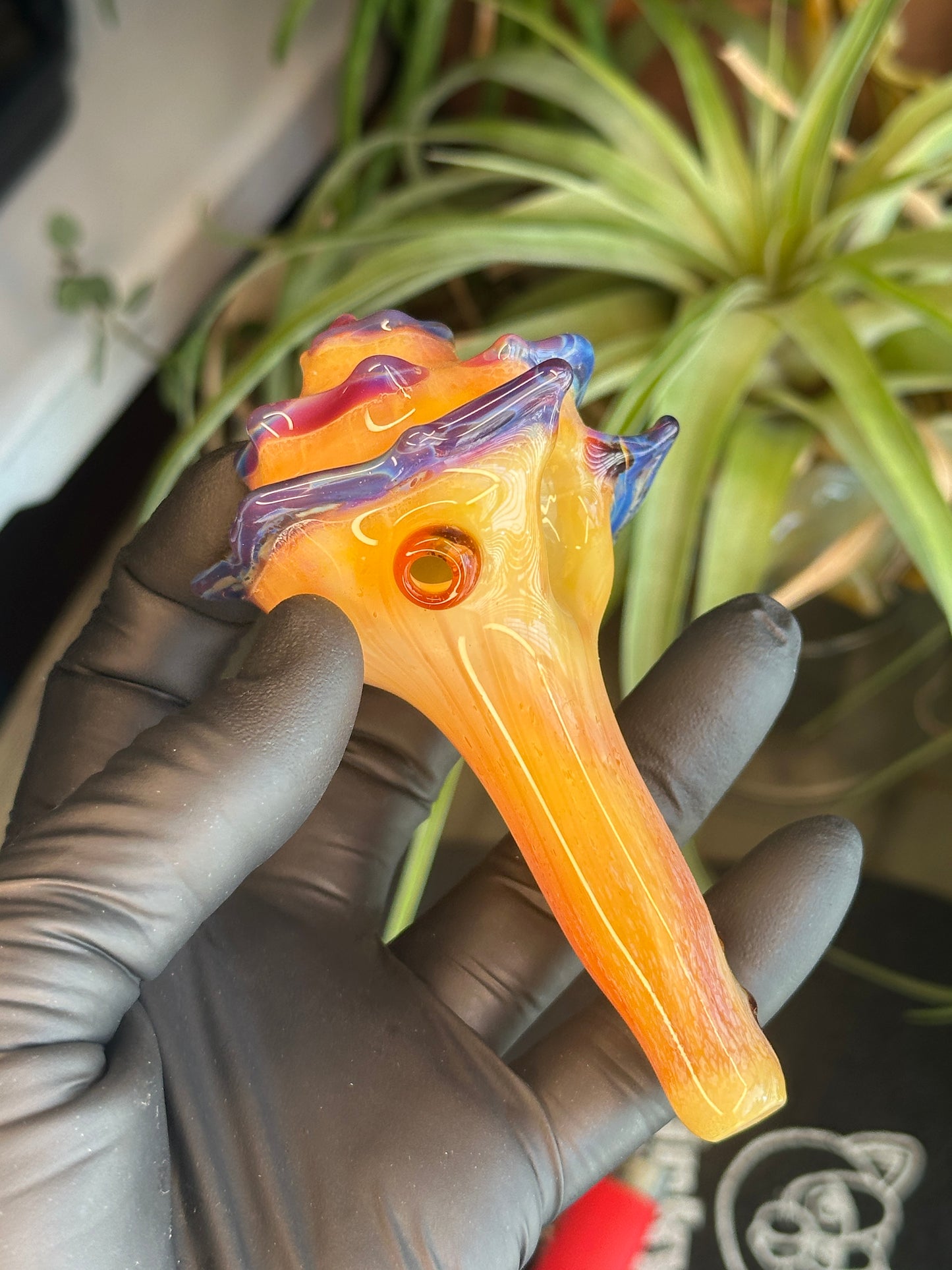 Natural Colored functional dry conch