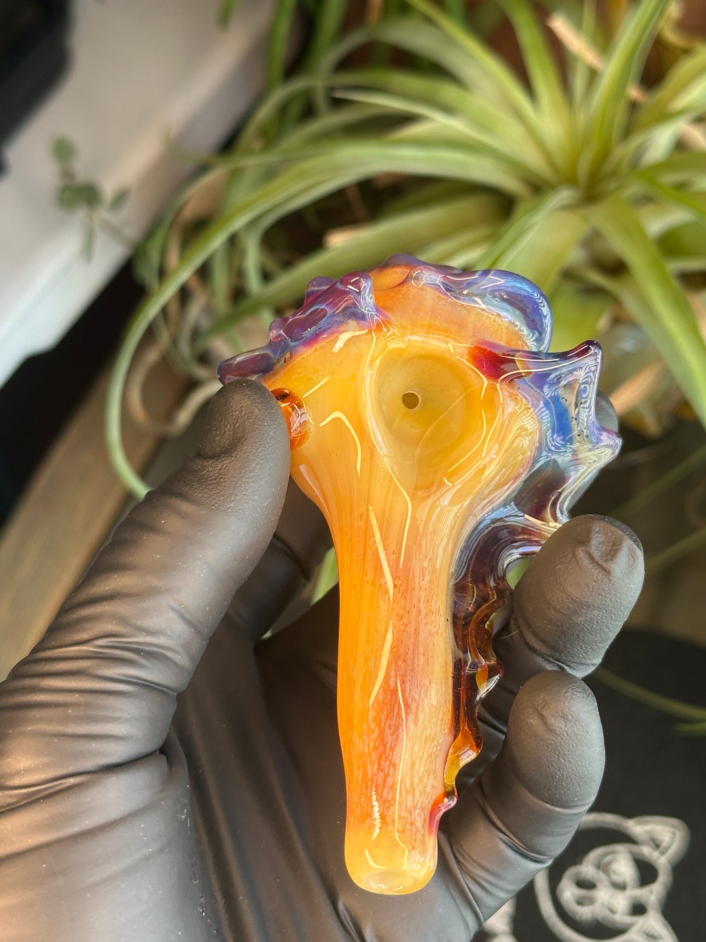 Natural Colored functional dry conch
