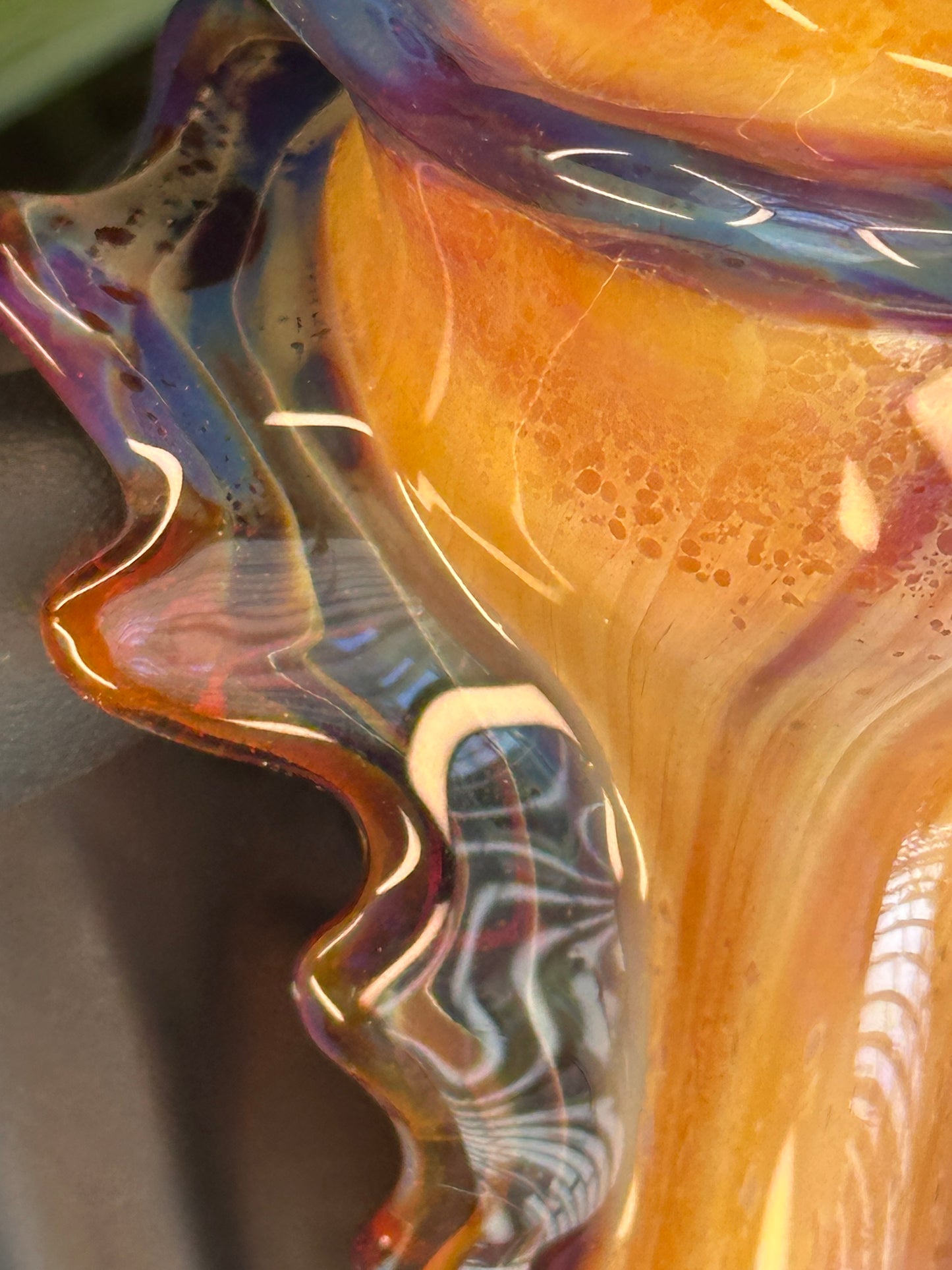 Natural Colored functional dry conch